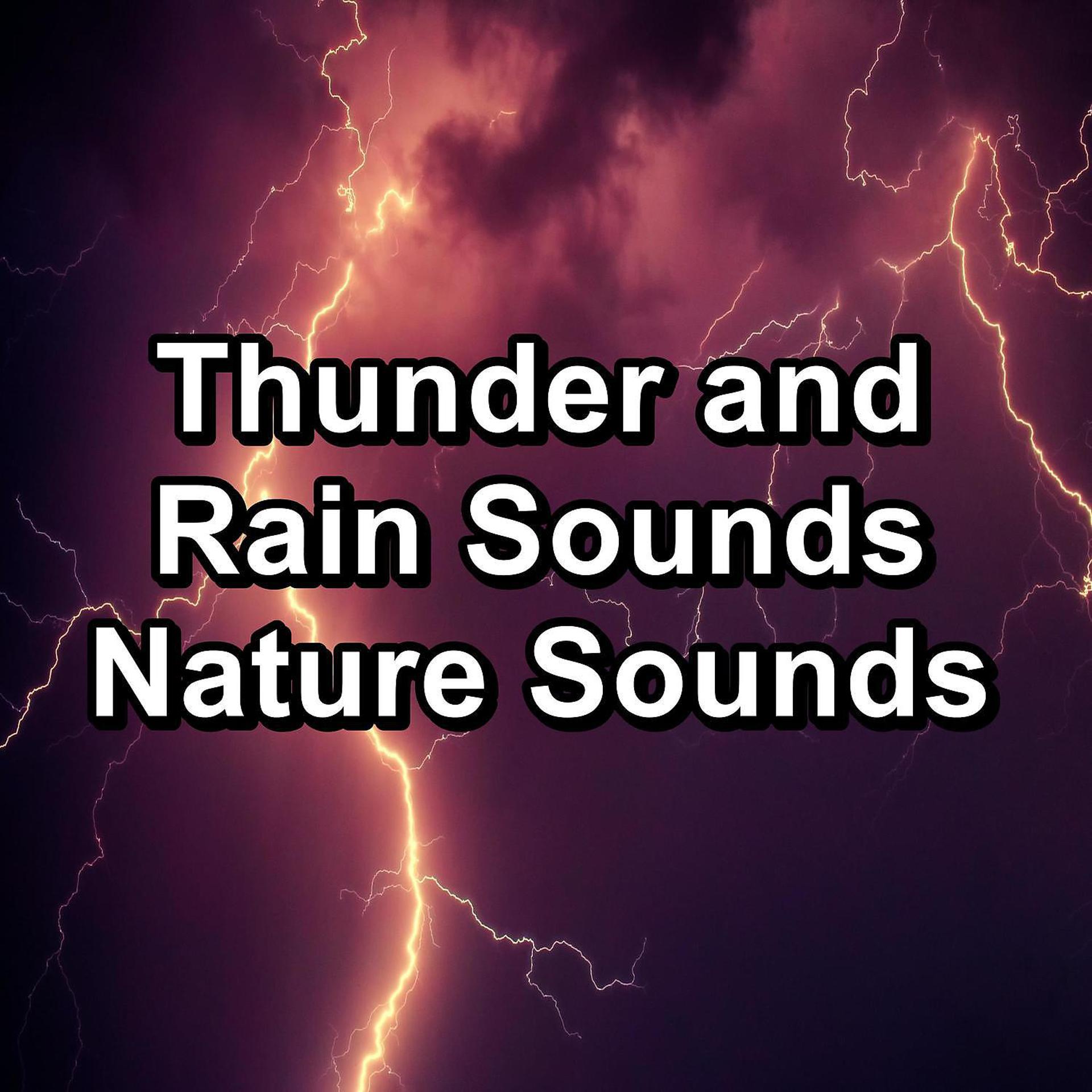 Постер альбома Thunder and Rain Sounds Nature Sounds