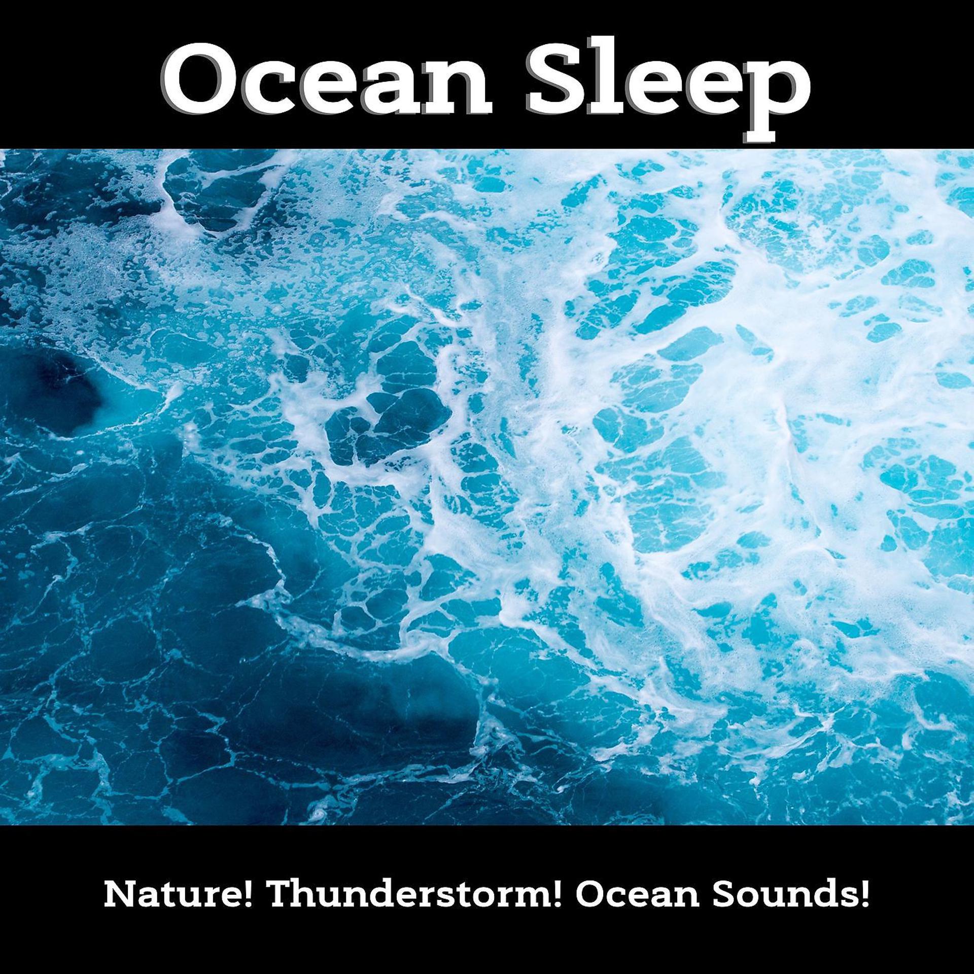 Постер альбома Ocean Sleep