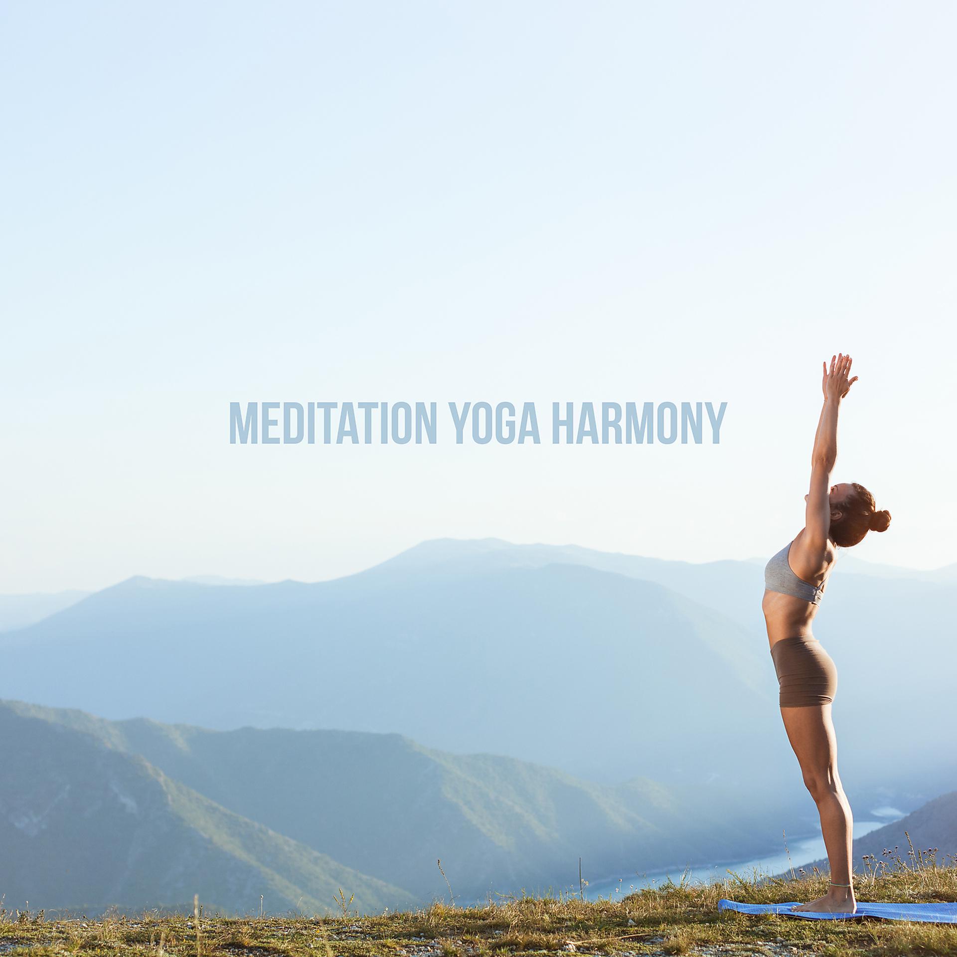 Постер альбома Meditation Yoga Harmony - Healing Music, Mental Balance and Grounding, Wellbeing