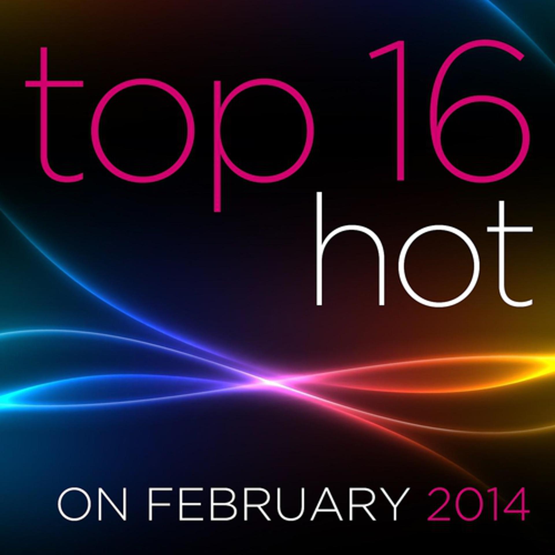 Постер альбома Top 16 Hot On February 2014