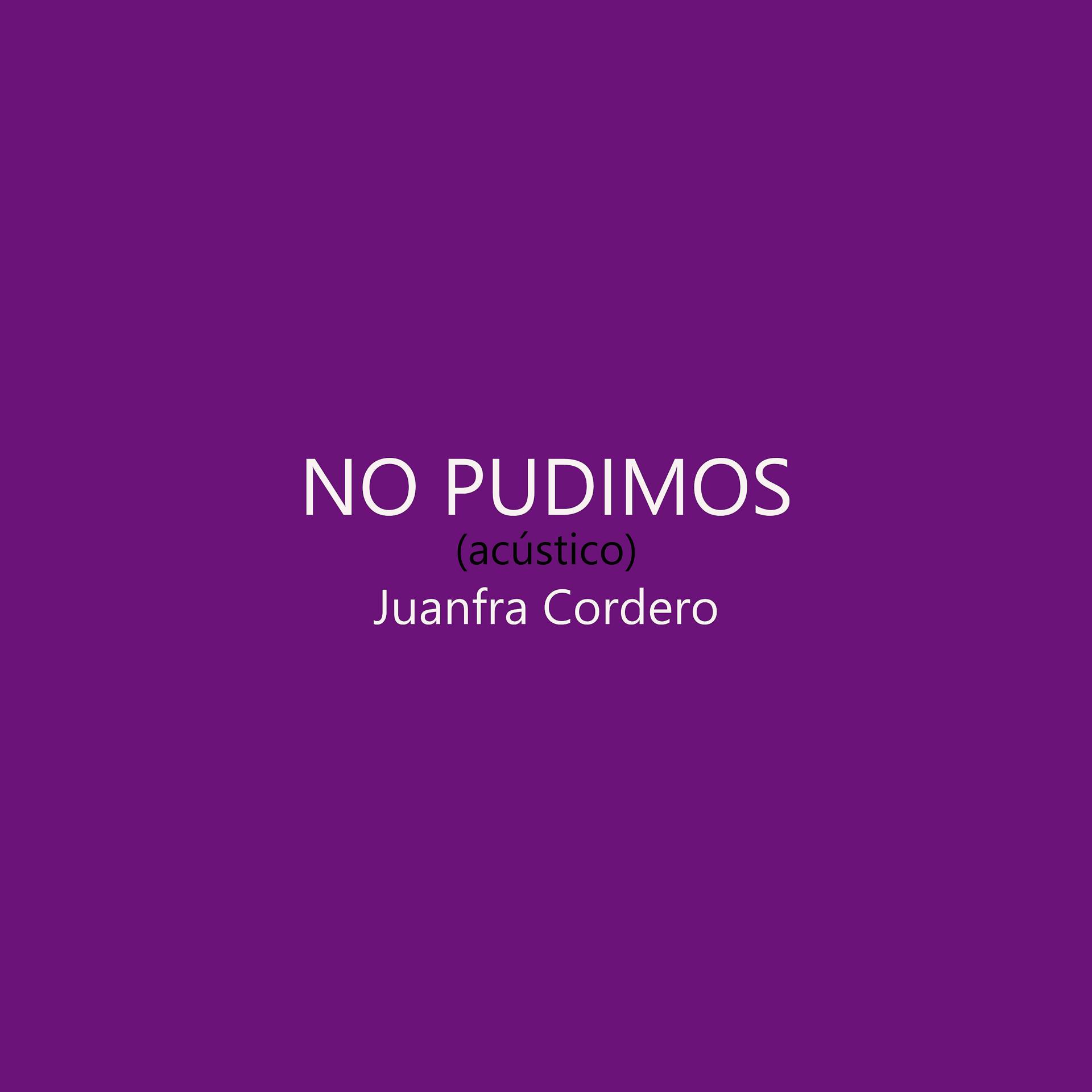 Постер альбома No Pudimos