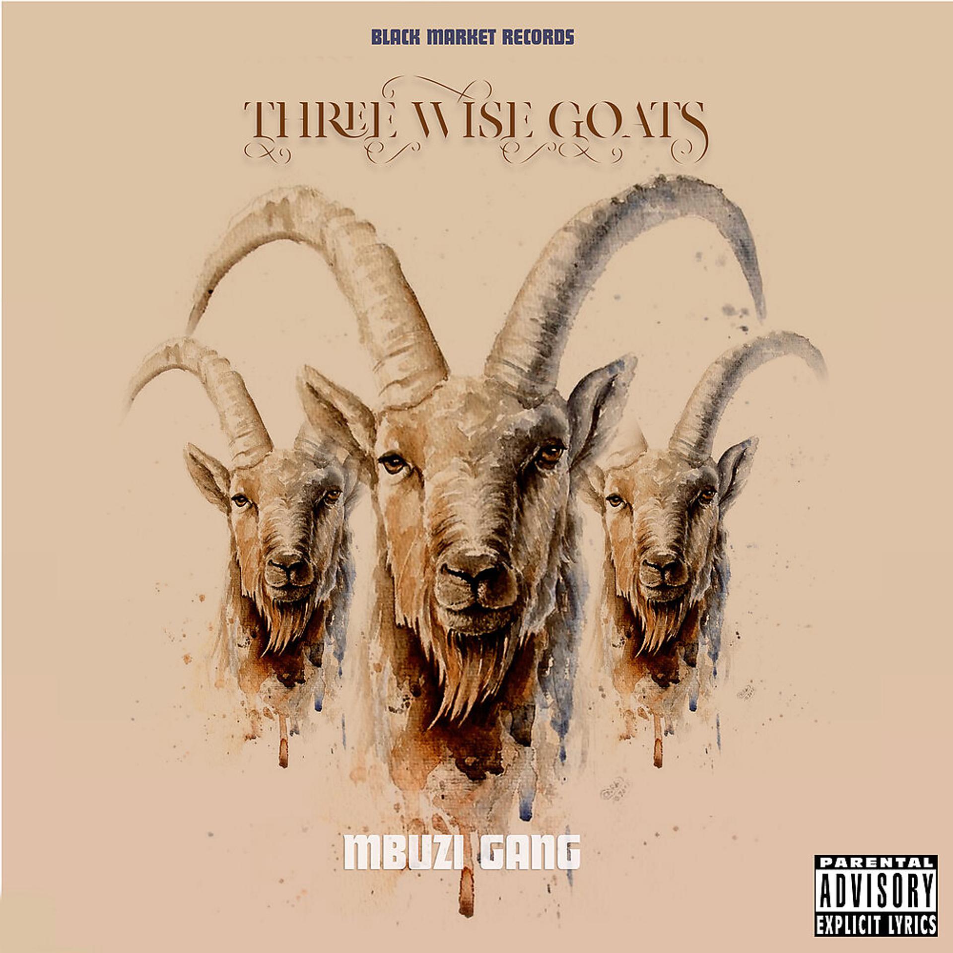 Постер альбома Three Wise Goats