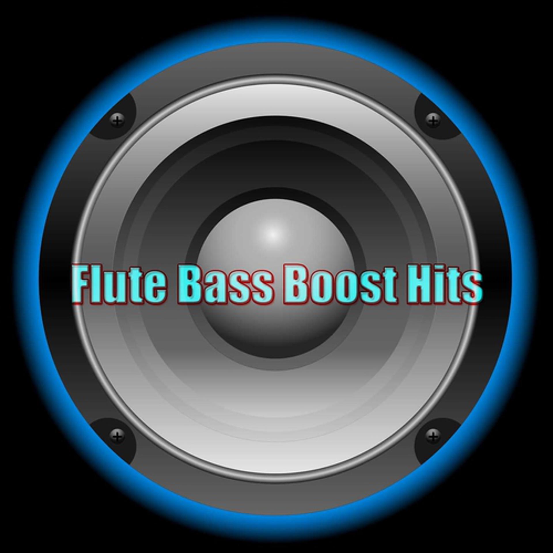 Постер альбома Flute Bass Boost Hits