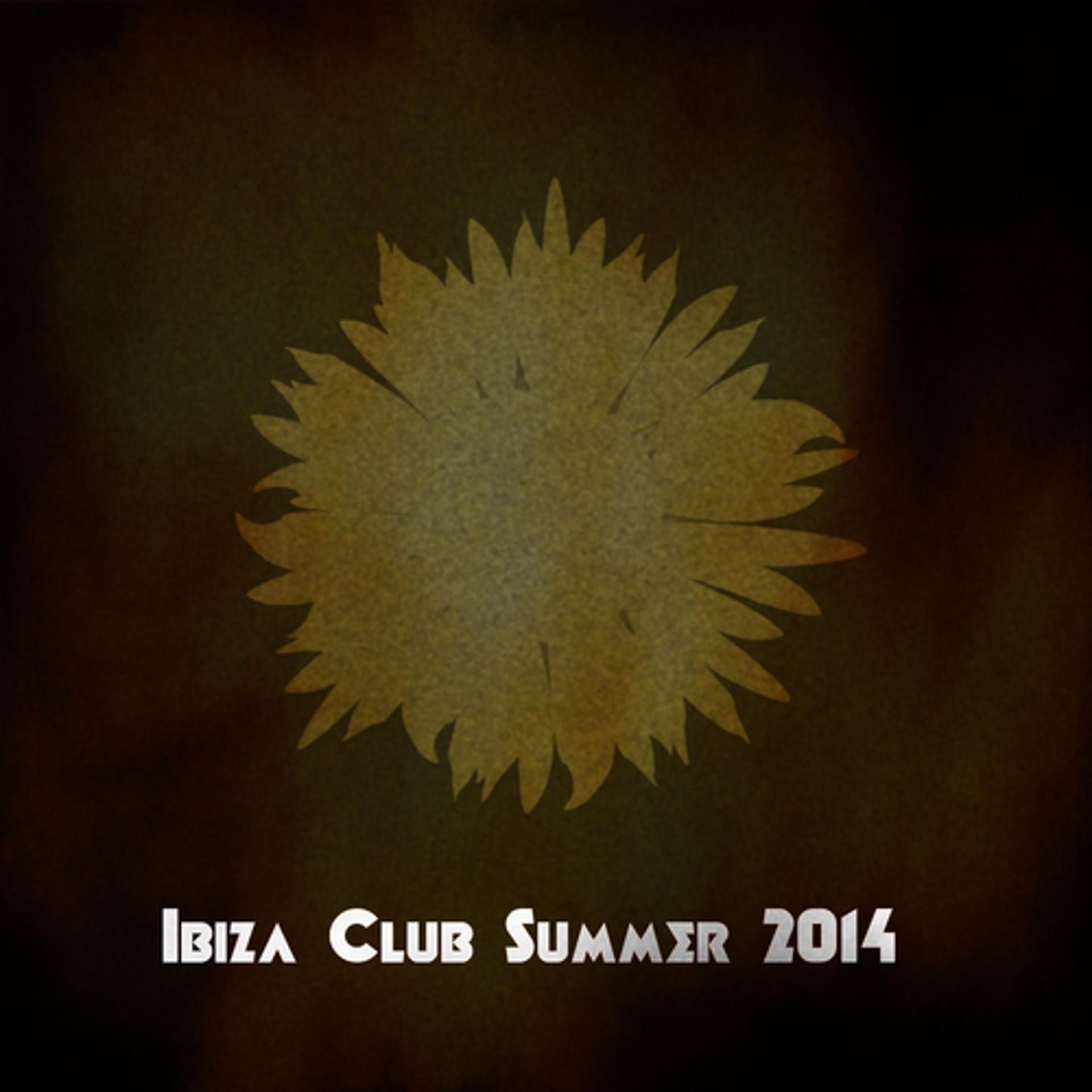 Постер альбома Ibiza Club Summer 2014