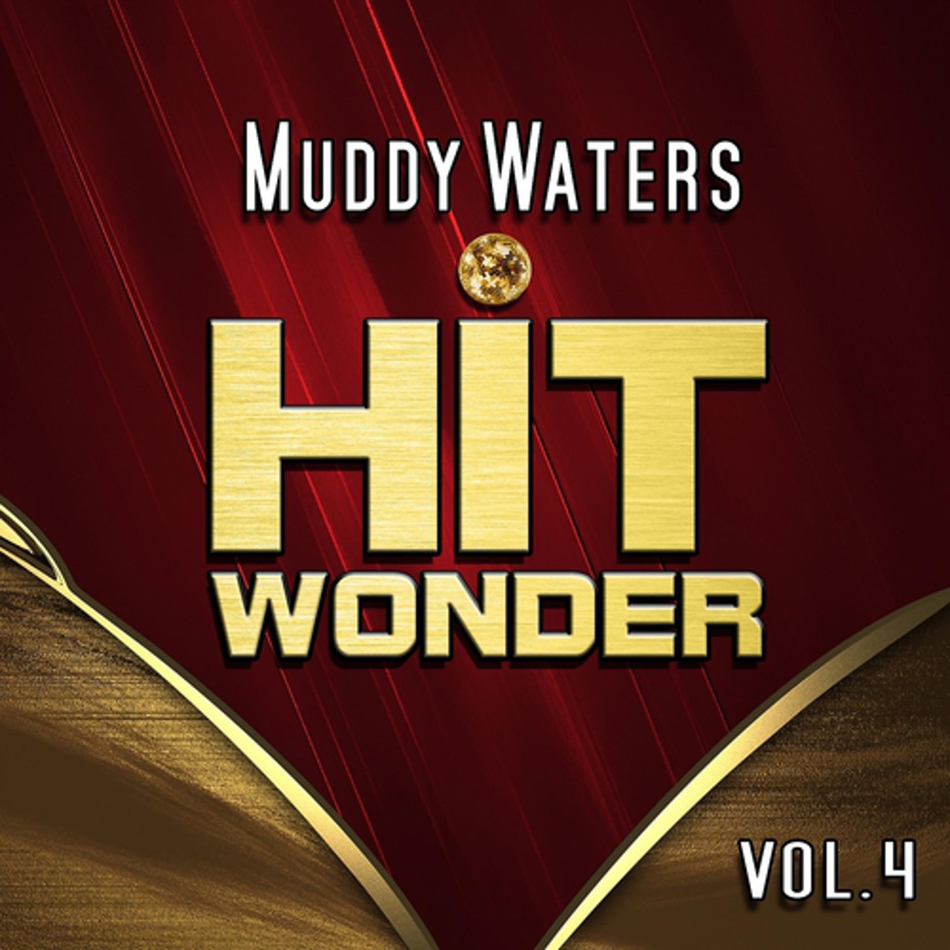 Постер альбома Hit Wonder: Muddy Waters, Vol. 4