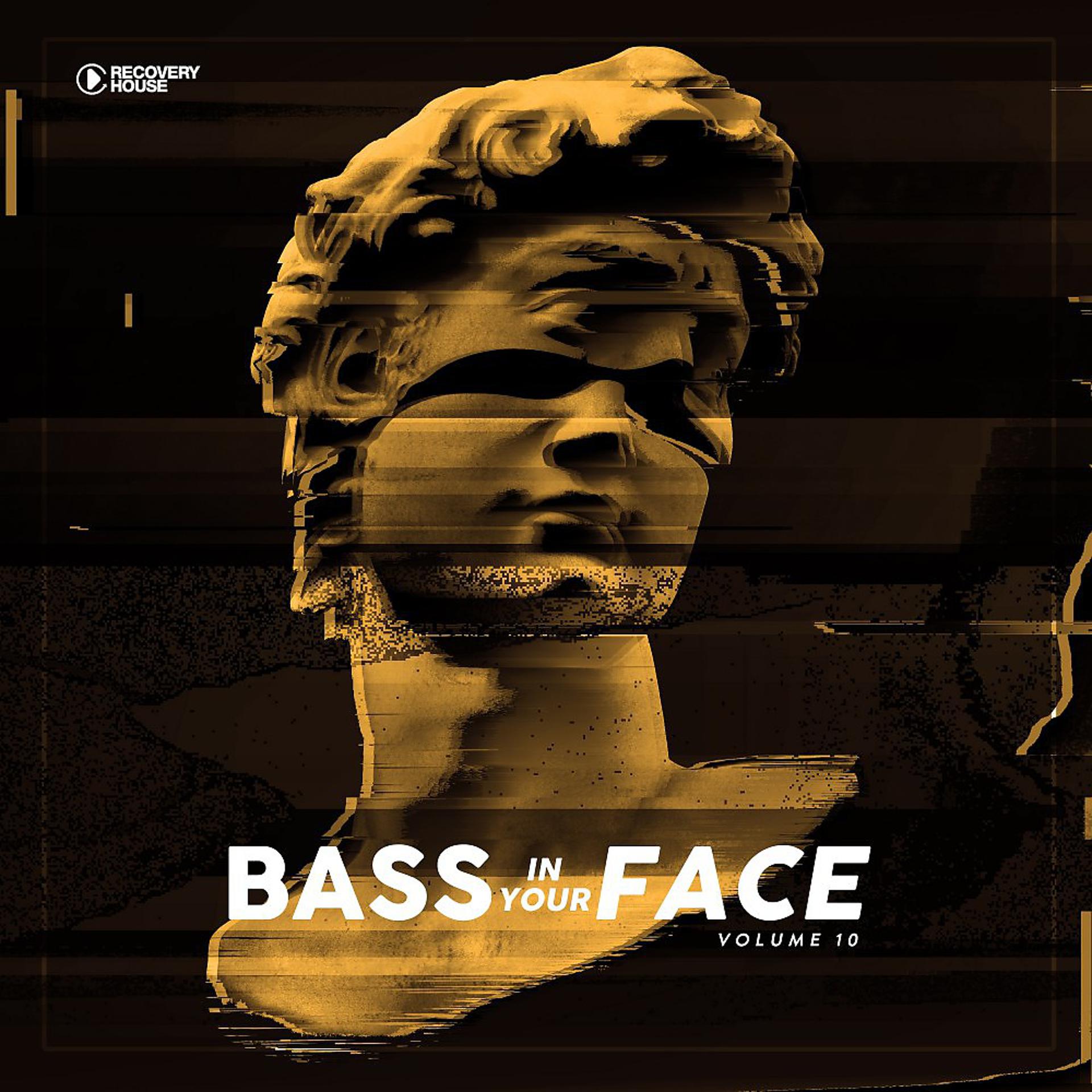 Постер альбома Bass in Your Face, Vol. 10