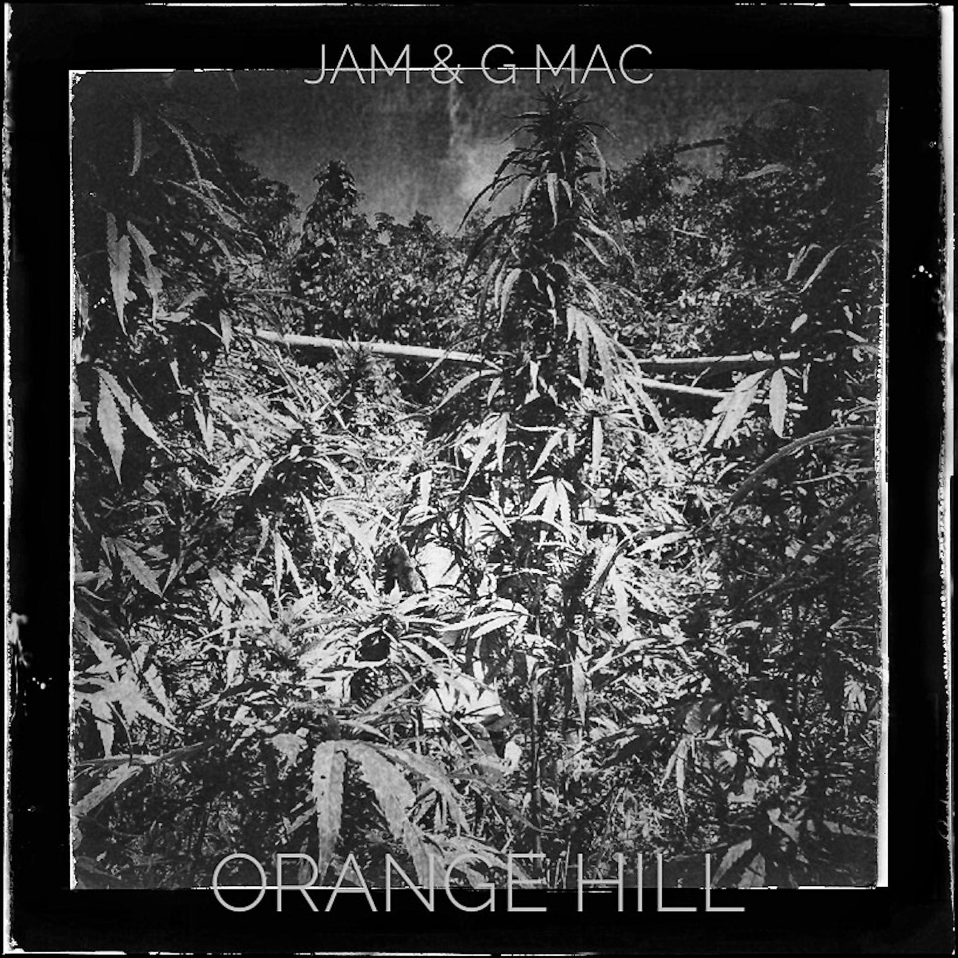Постер альбома Orange Hill