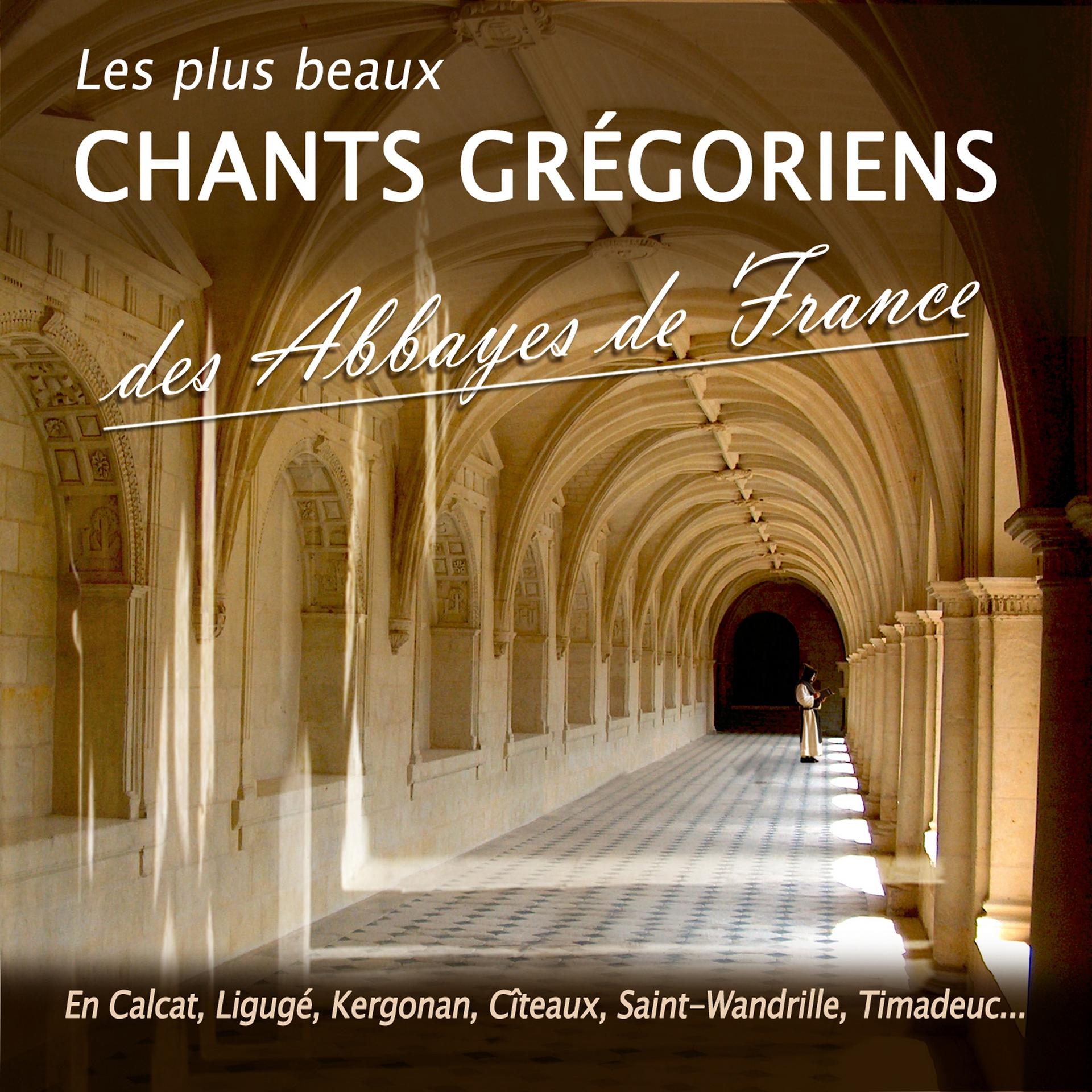 Постер альбома Les plus beaux chants grégoriens des abbayes de France