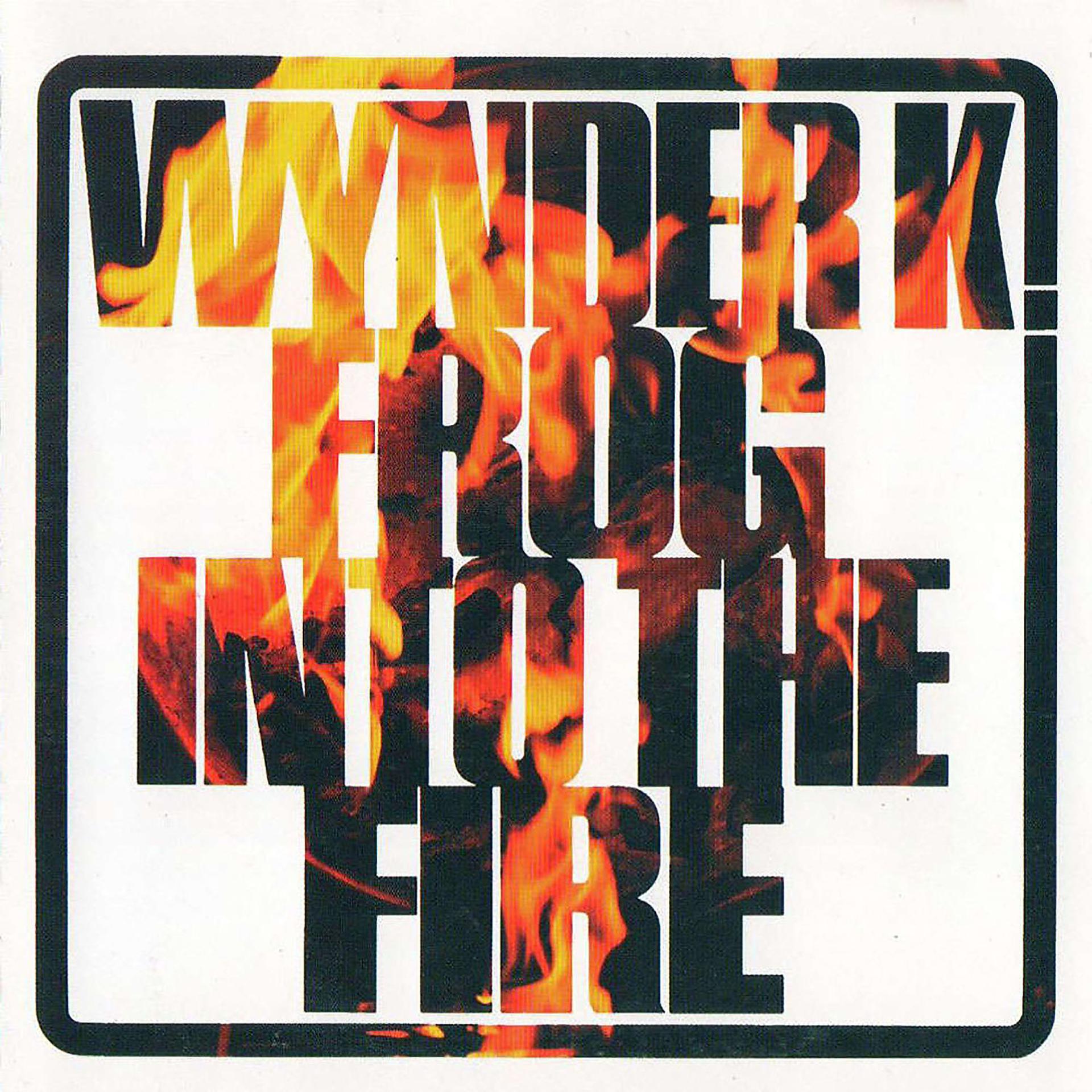 Постер альбома Into the Fire