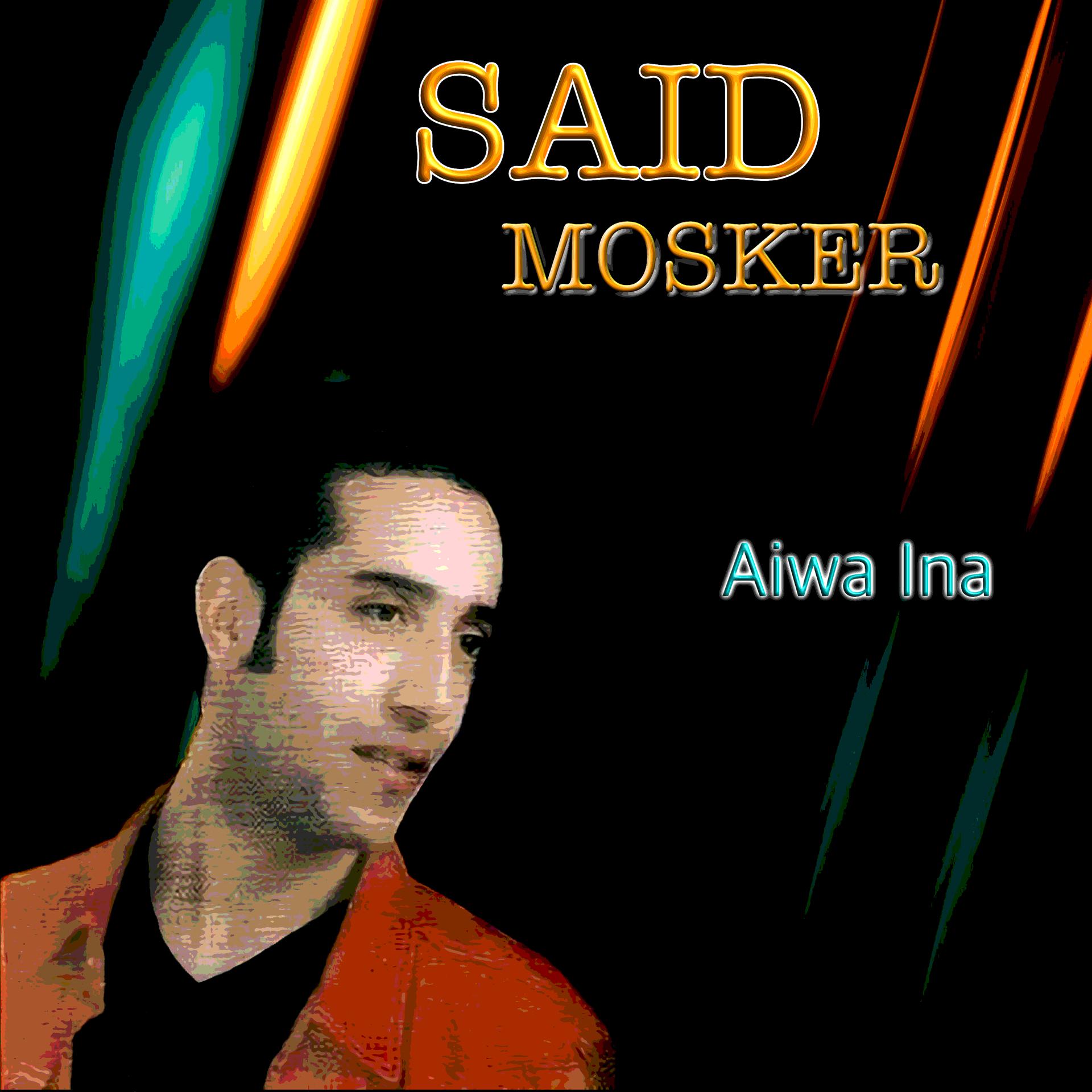Постер альбома Aiwa ina