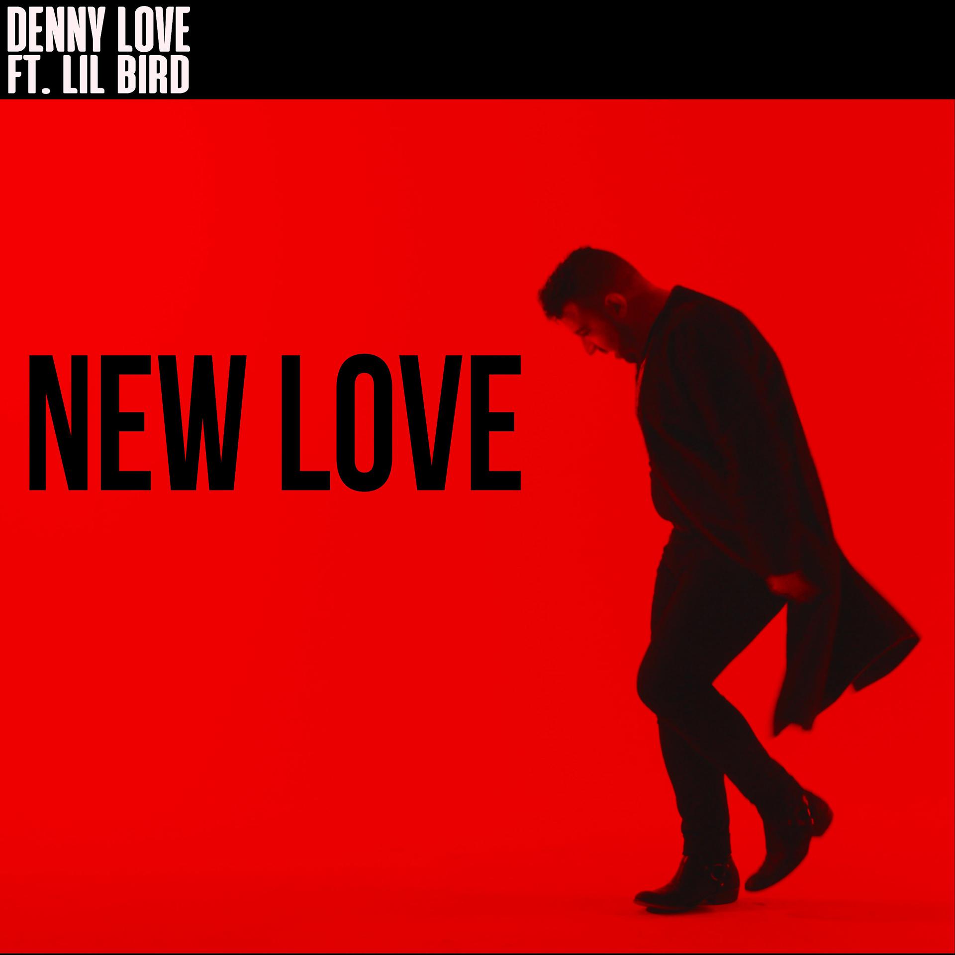 Постер альбома New Love