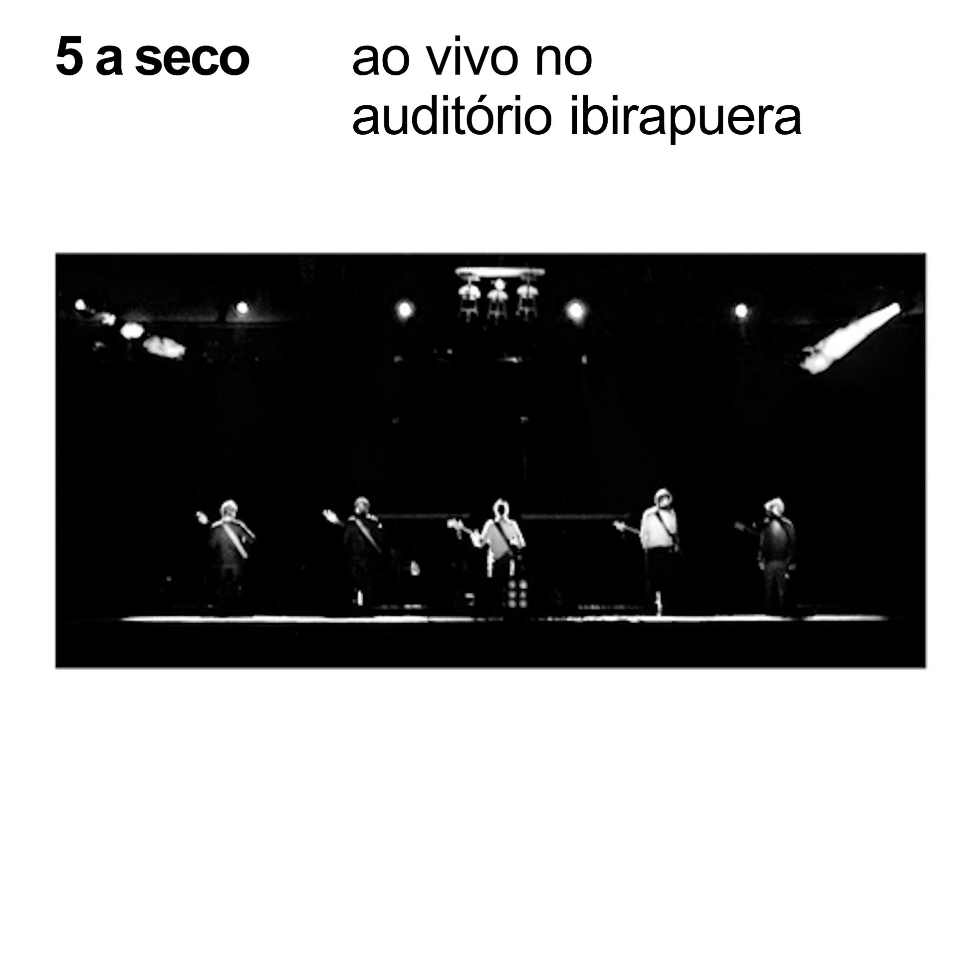 Постер альбома Ao Vivo no Auditório Ibirapuera