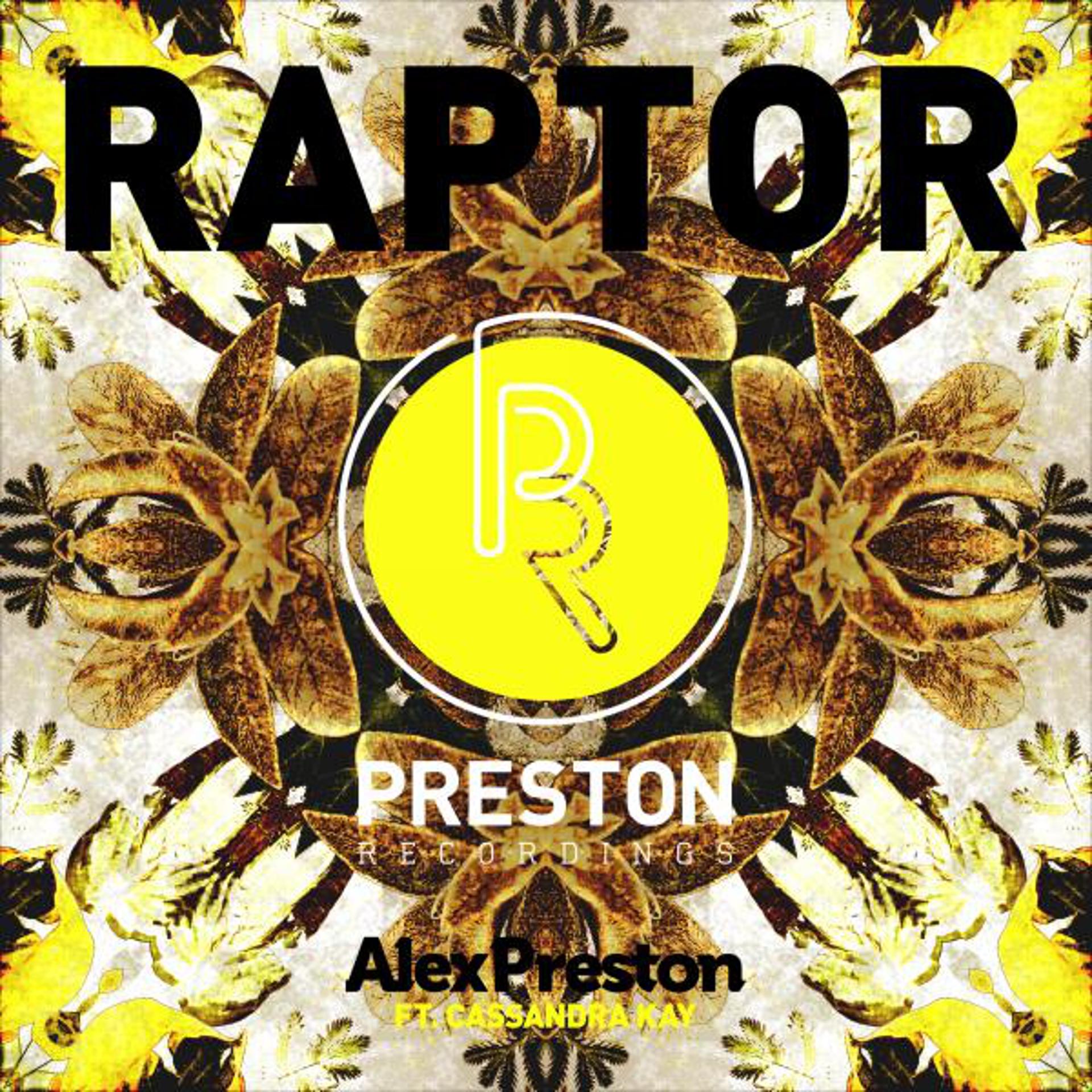 Постер альбома Raptor (feat. Cassandra Kay) [Rees Hellmers Remix]