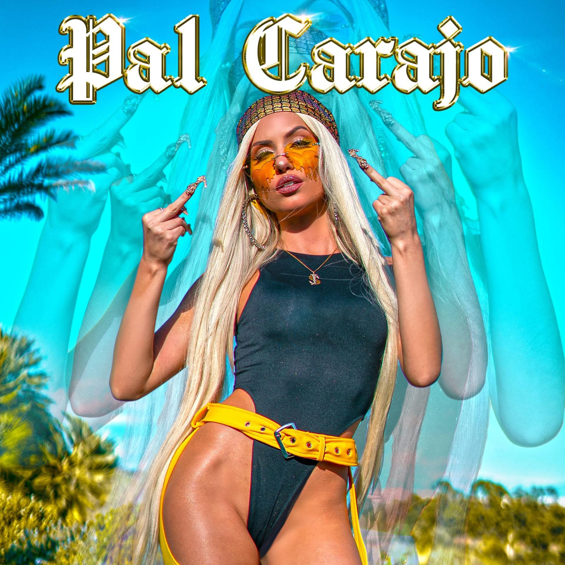 Постер альбома Pal Carajo