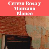 Постер альбома Cerezo Rosa y Manzano Blanco