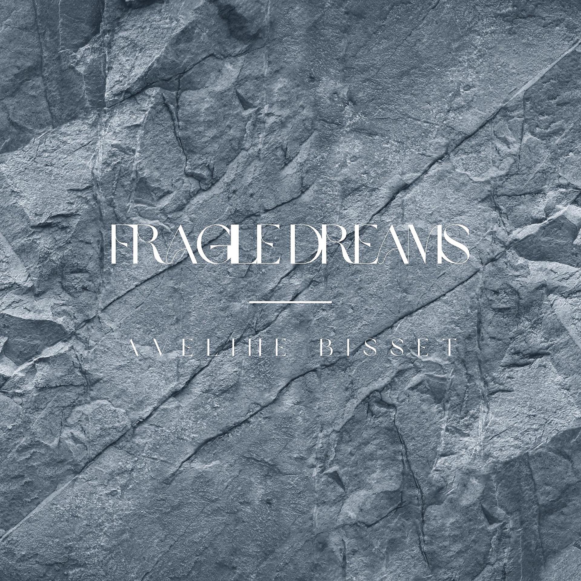 Постер альбома Fragile Dreams