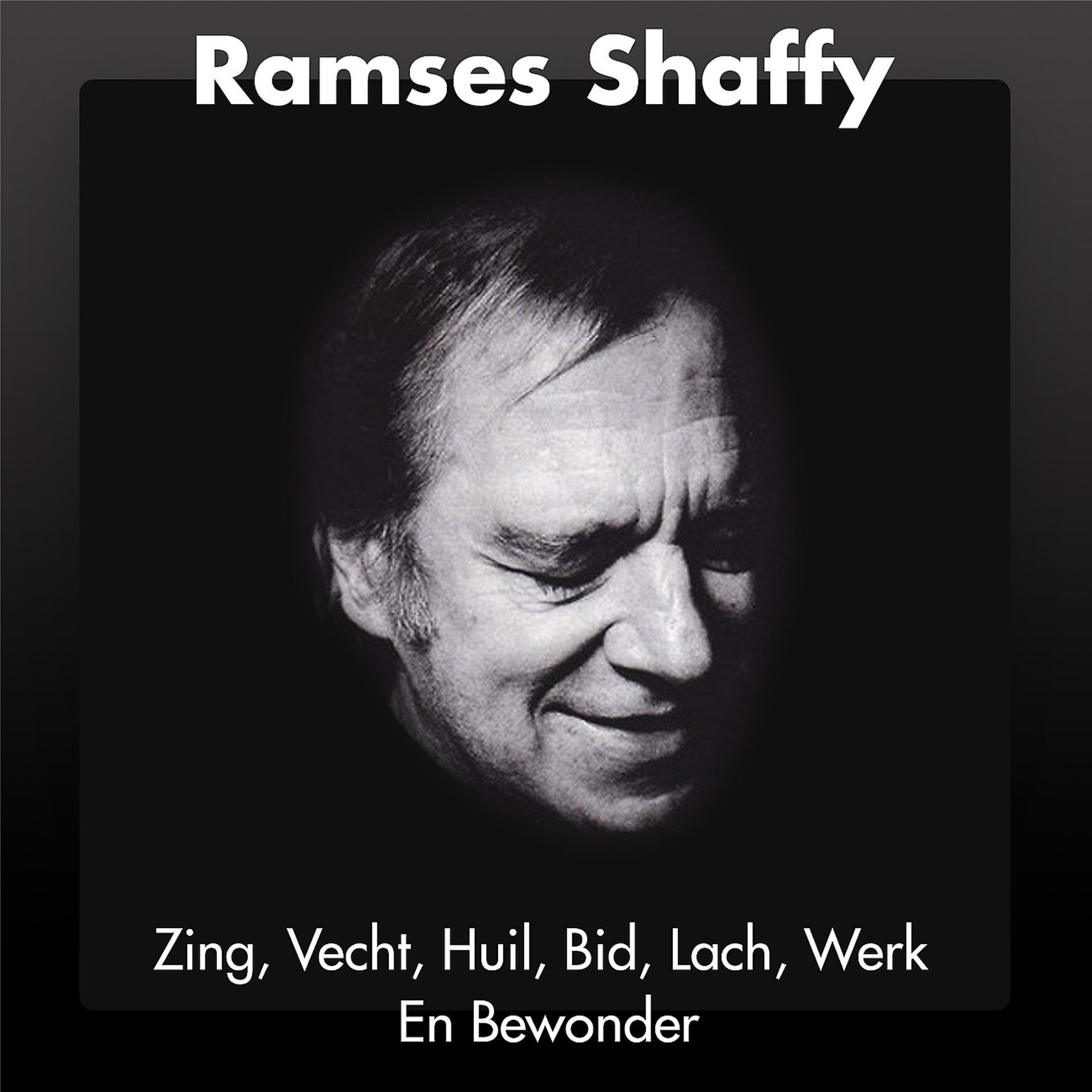 Постер альбома Zing, Vecht, Huil, Bid, Lach, Werk En Bewonder