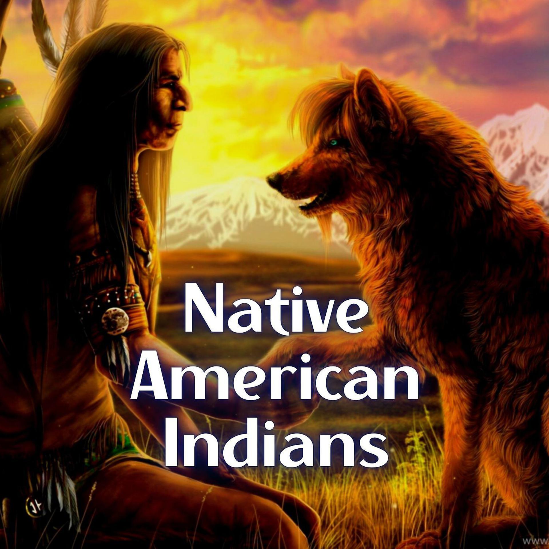 Постер альбома Native American Indians