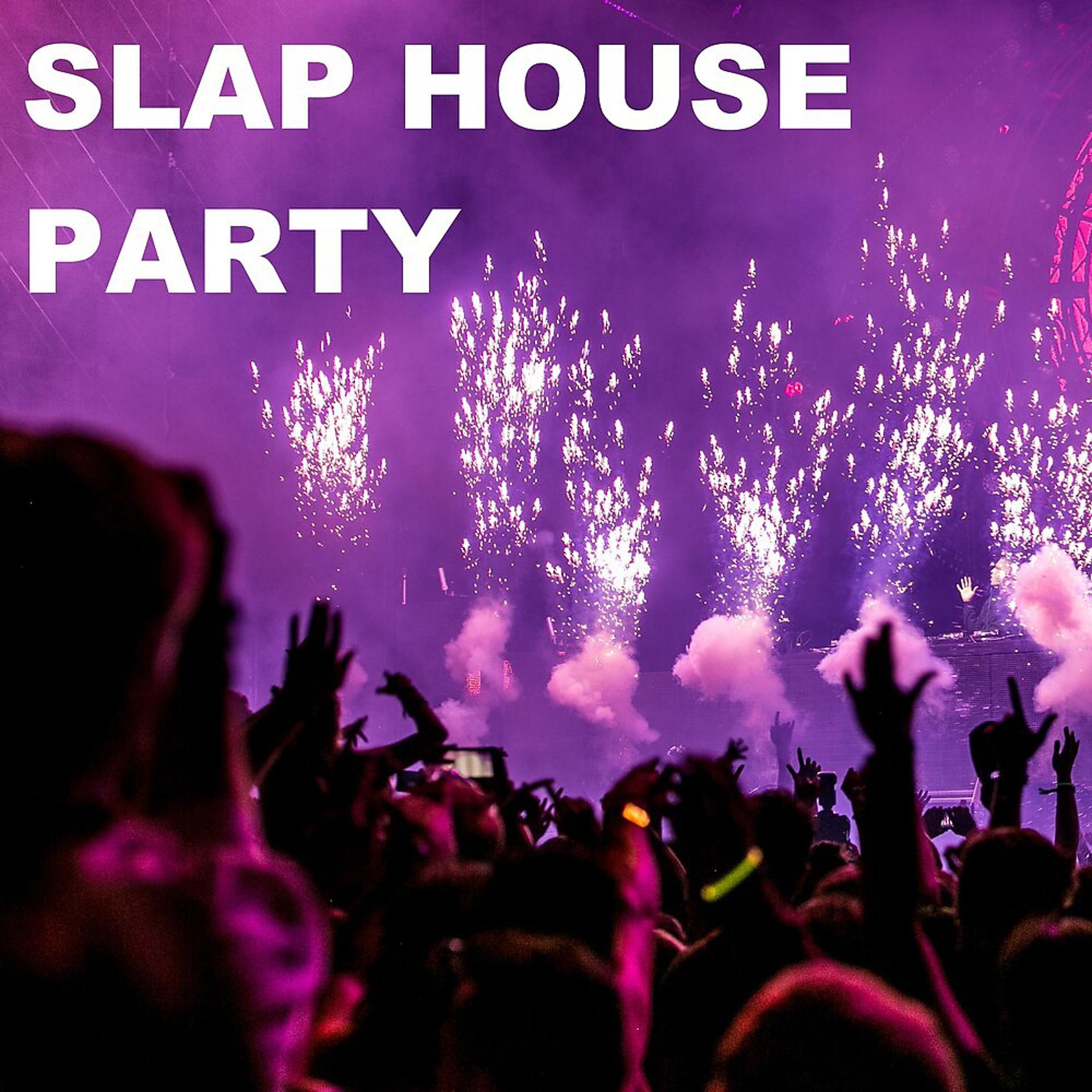Постер альбома Slap House Party