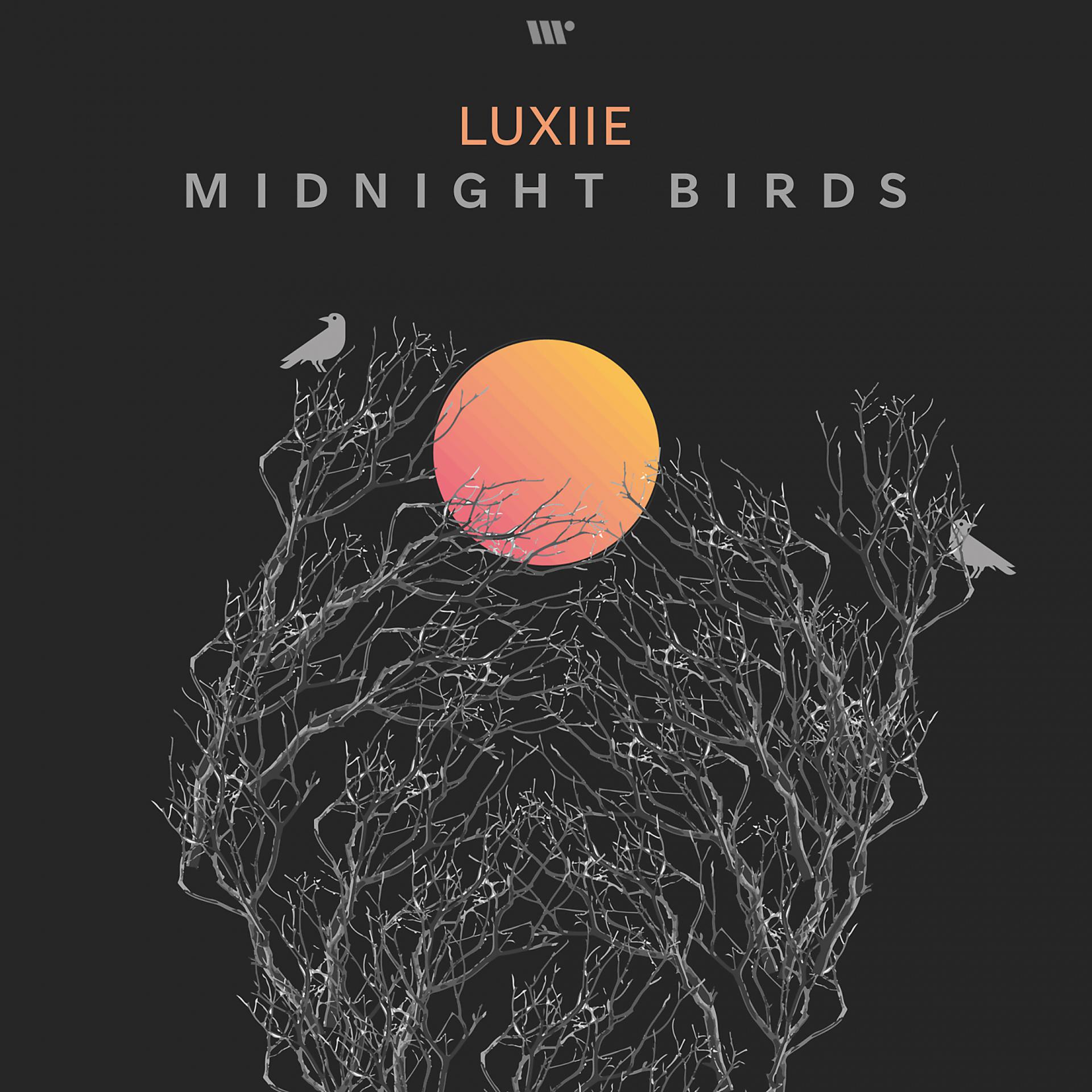 Постер альбома Midnight Birds