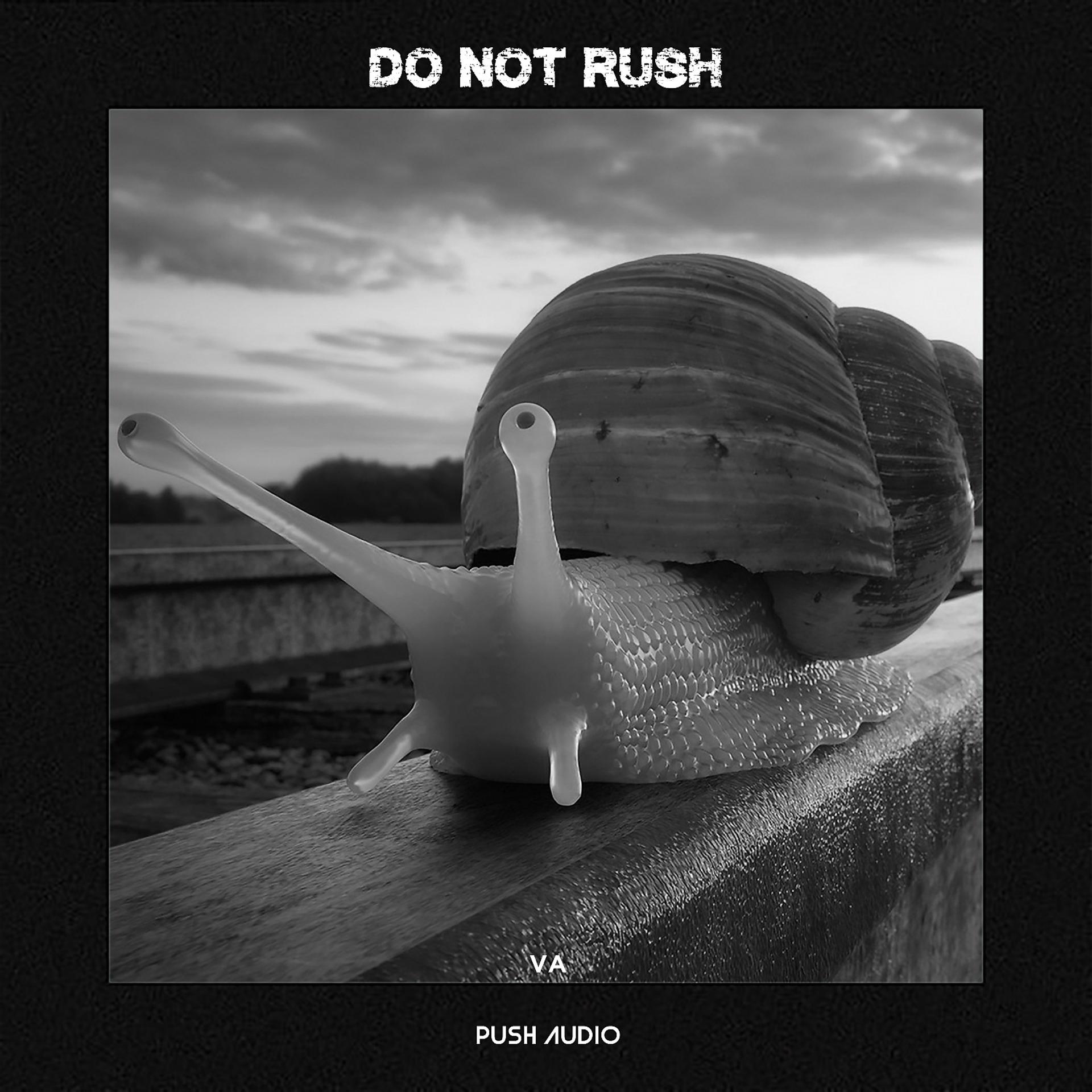 Постер альбома Do Not Rush