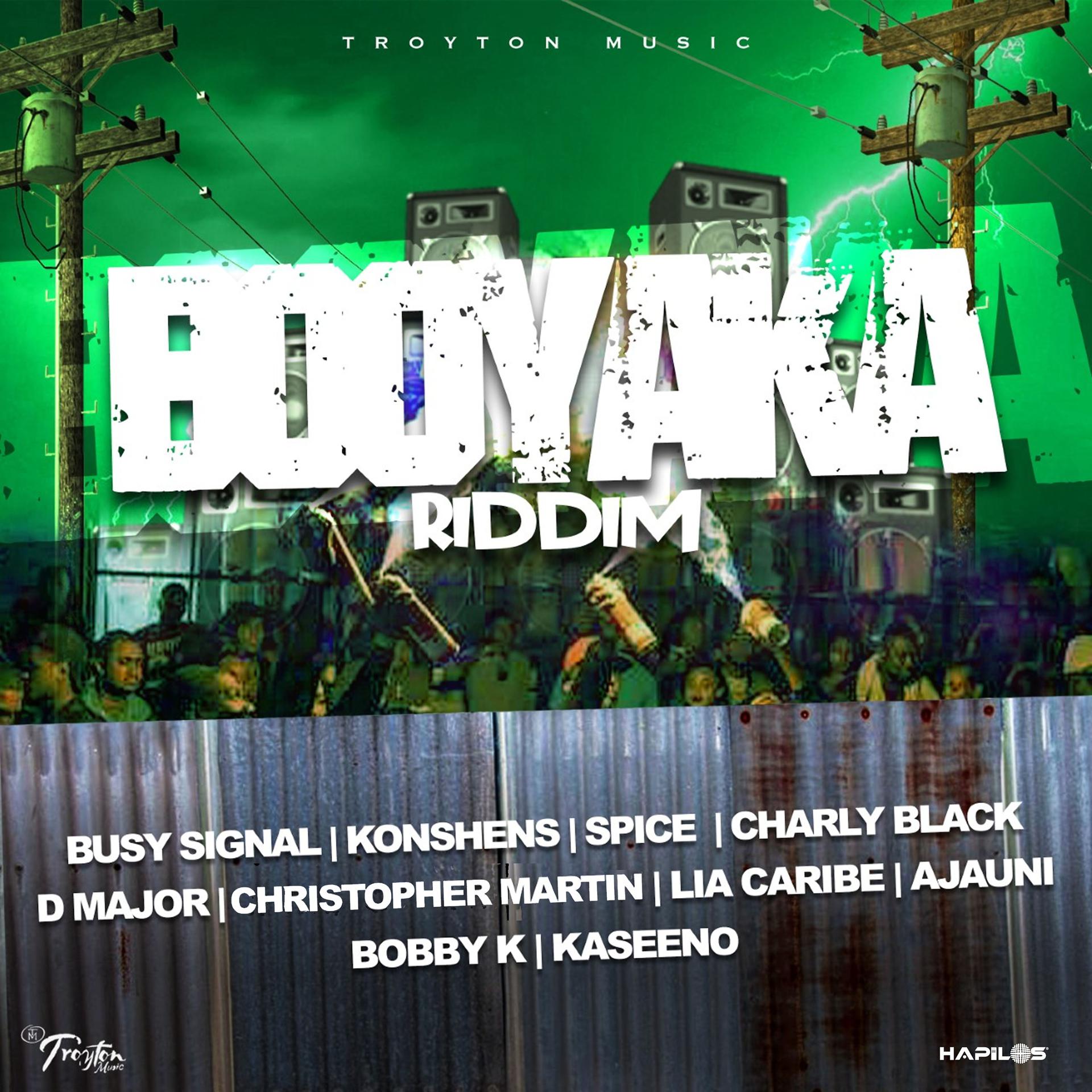 Постер альбома Booyaka Riddim