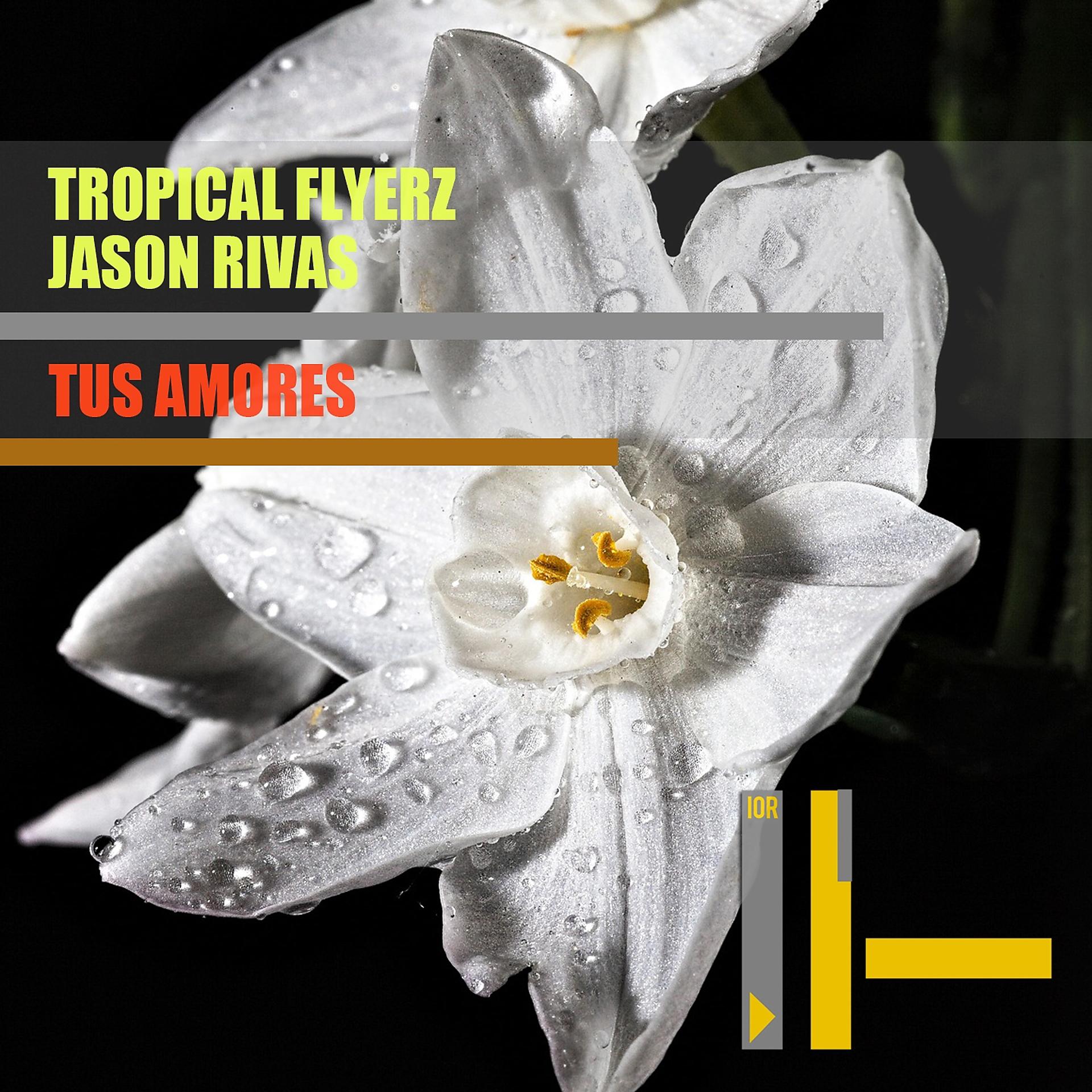 Постер альбома Tus Amores