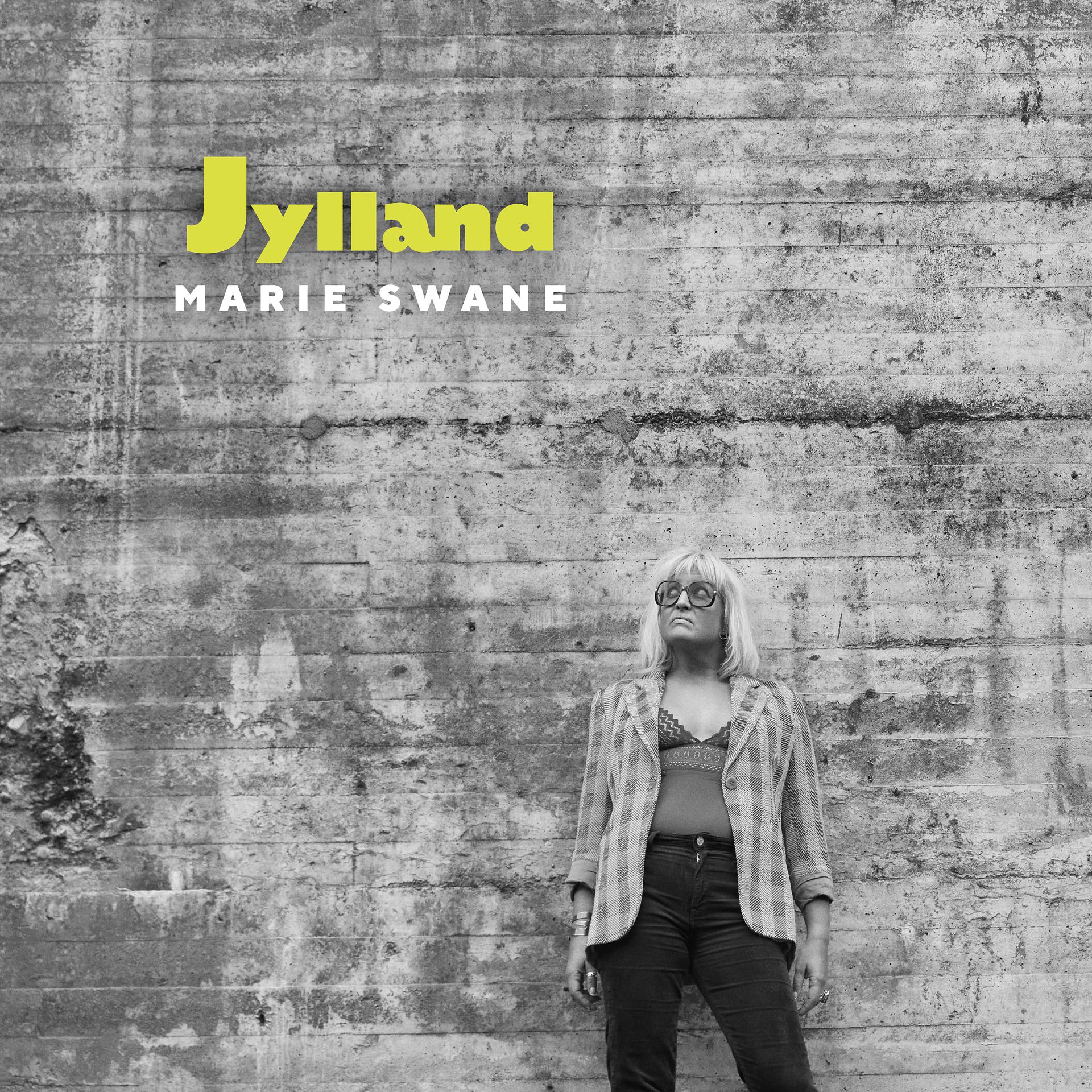 Постер альбома Jylland