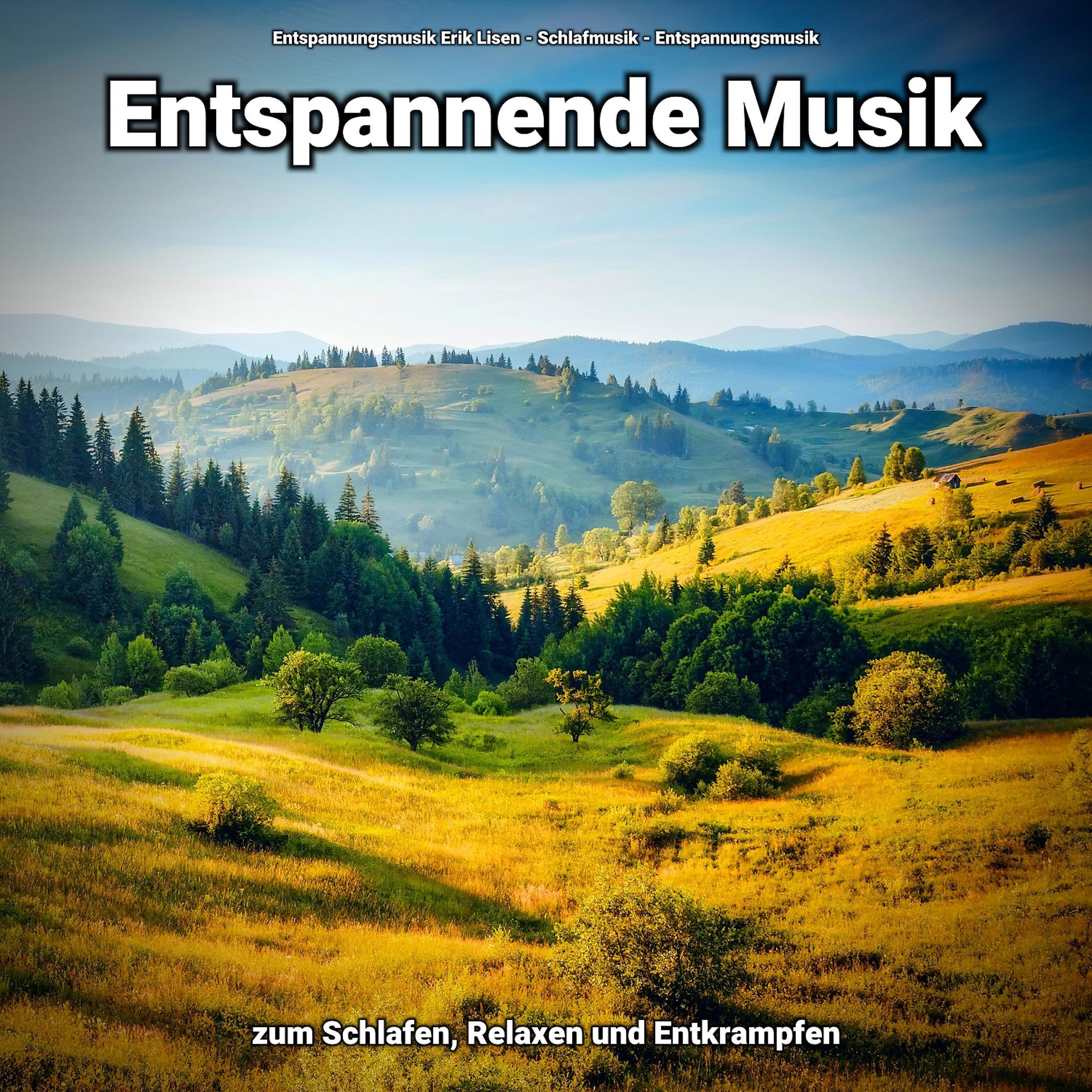 Постер альбома Entspannende Musik zum Schlafen, Relaxen und Entkrampfen