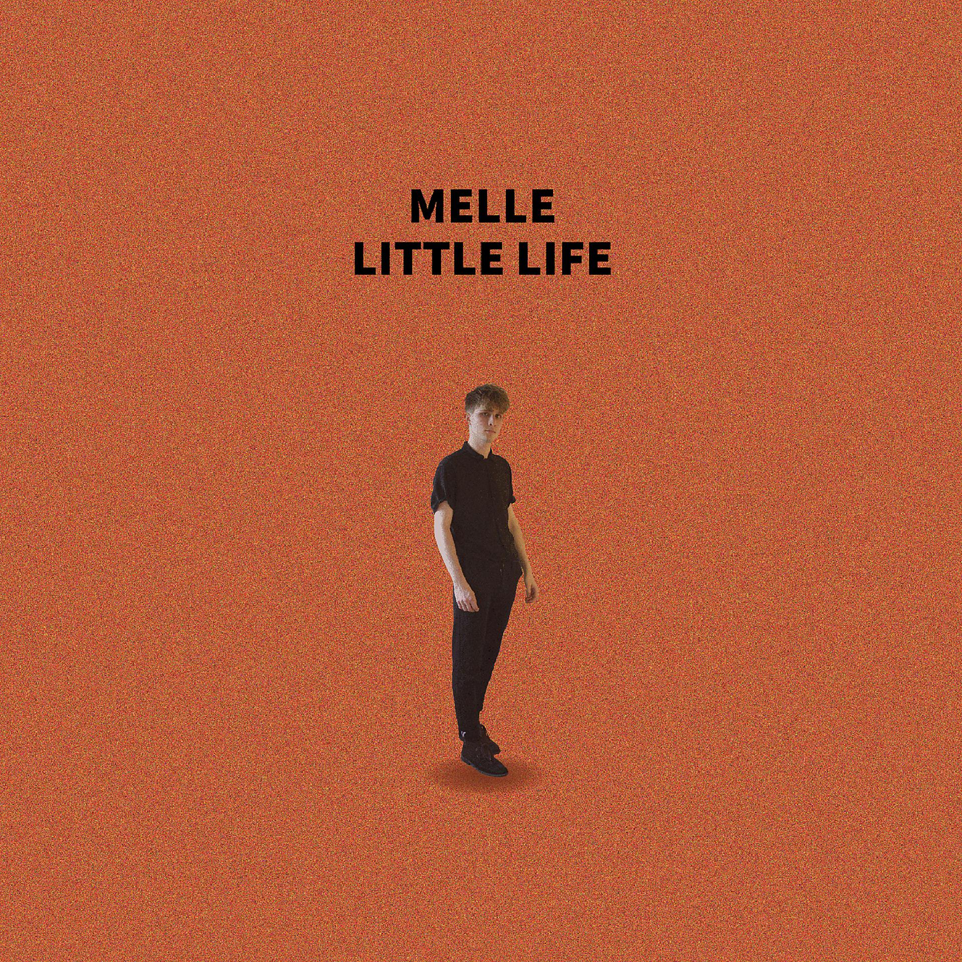 Постер альбома Little Life