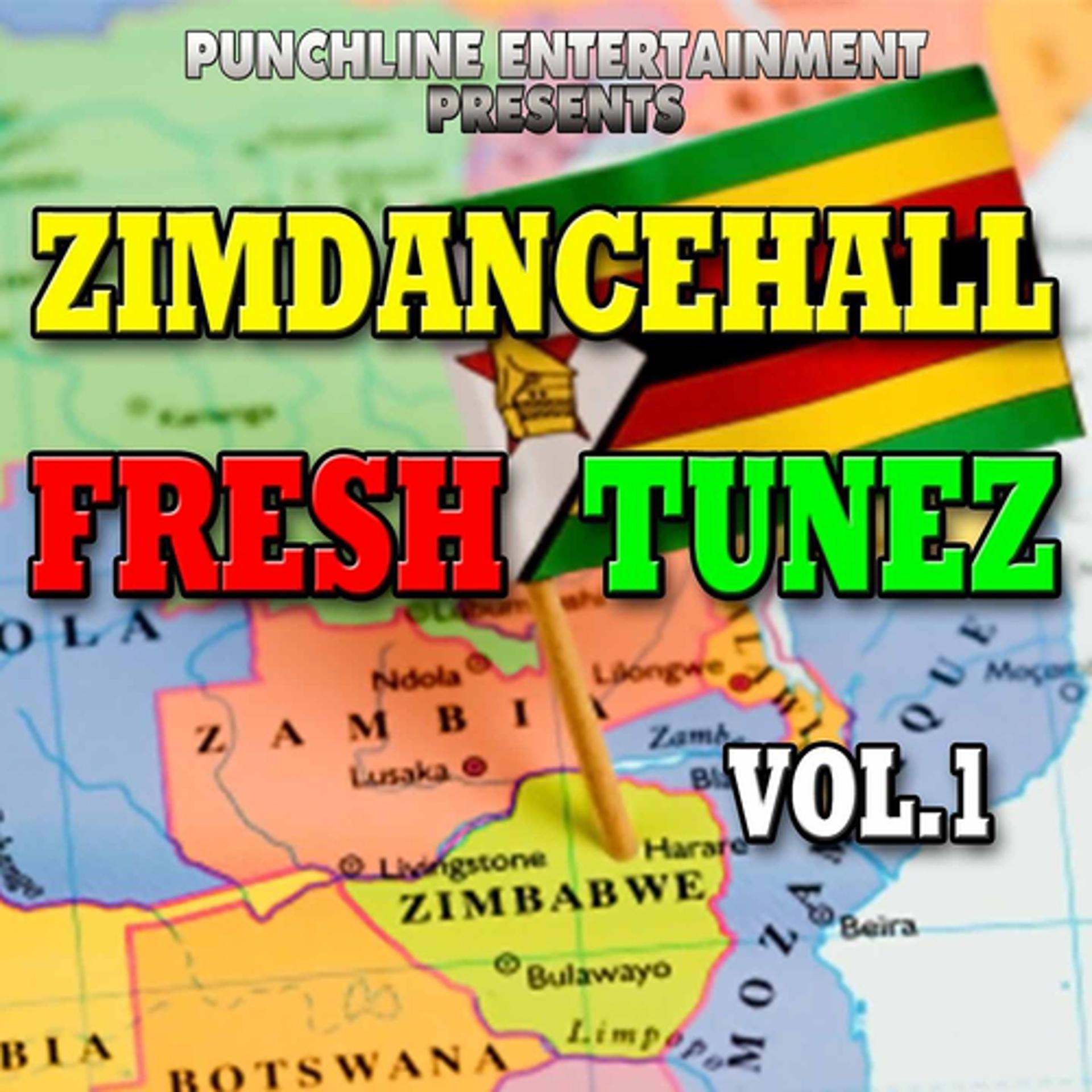 Постер альбома Zimdancehall Fresh Tunez, Vol. 1