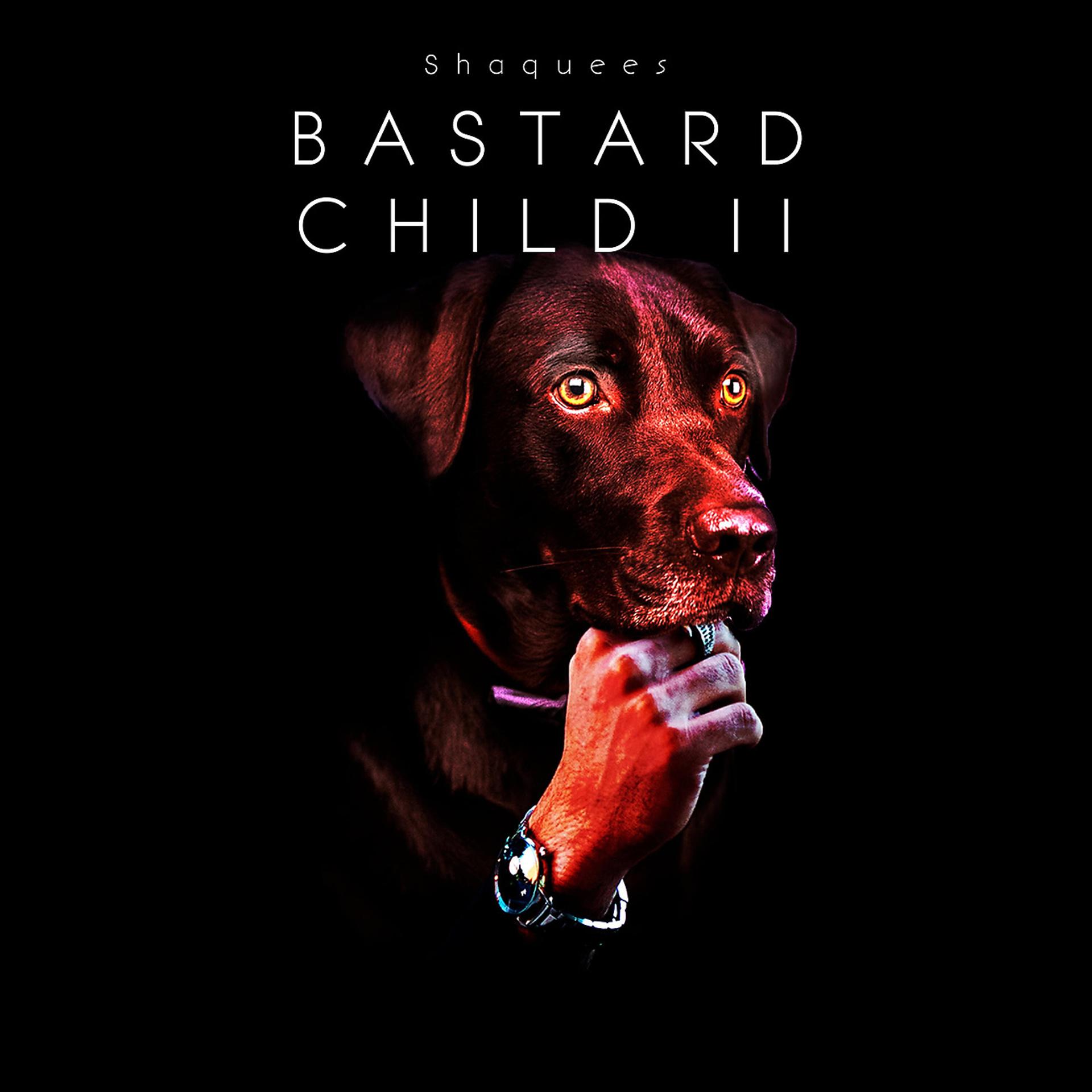 Постер альбома Bastard Child 2
