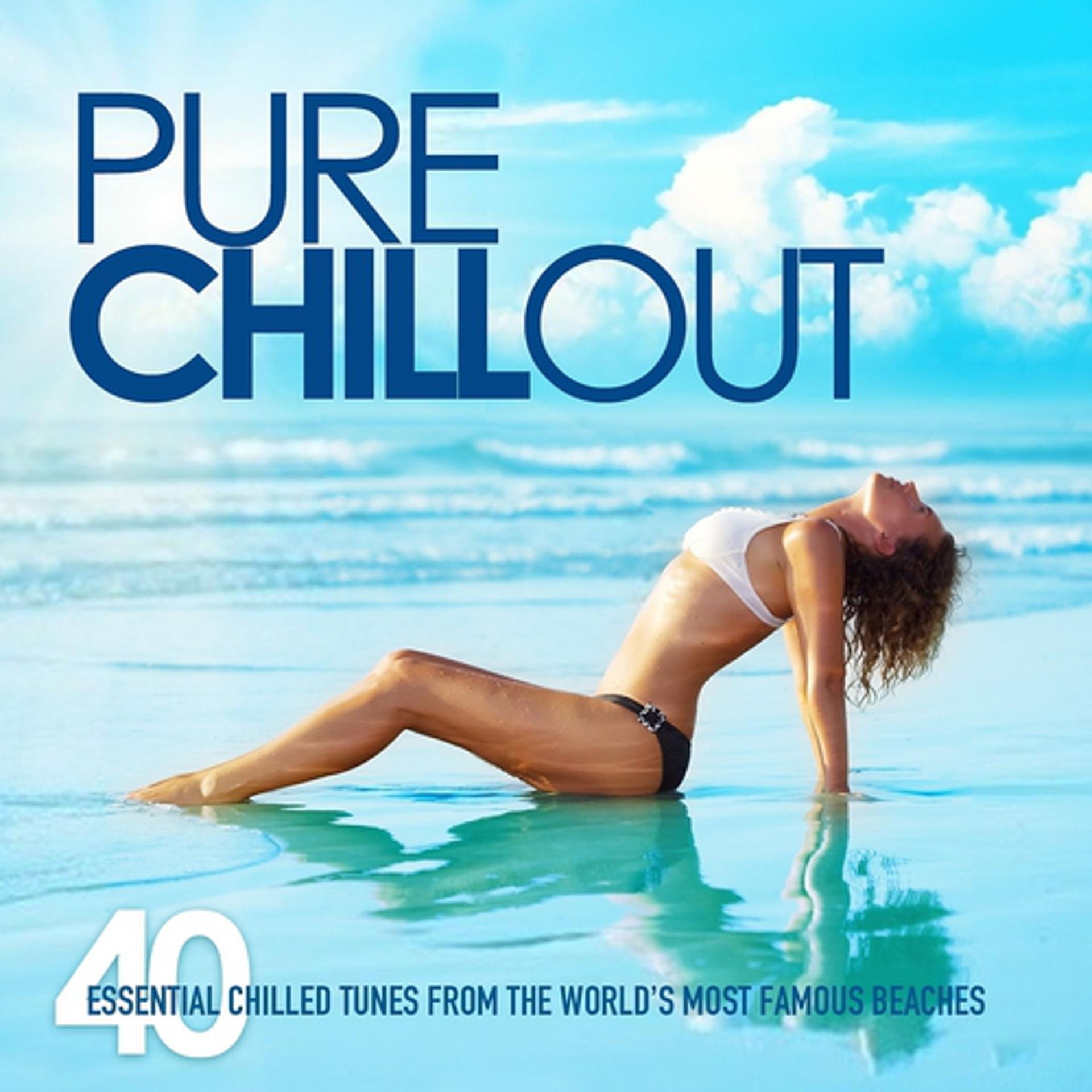 Постер альбома Pure Chill Out (40 Essential Chilled Tunes from the World's Most Famous Beaches)