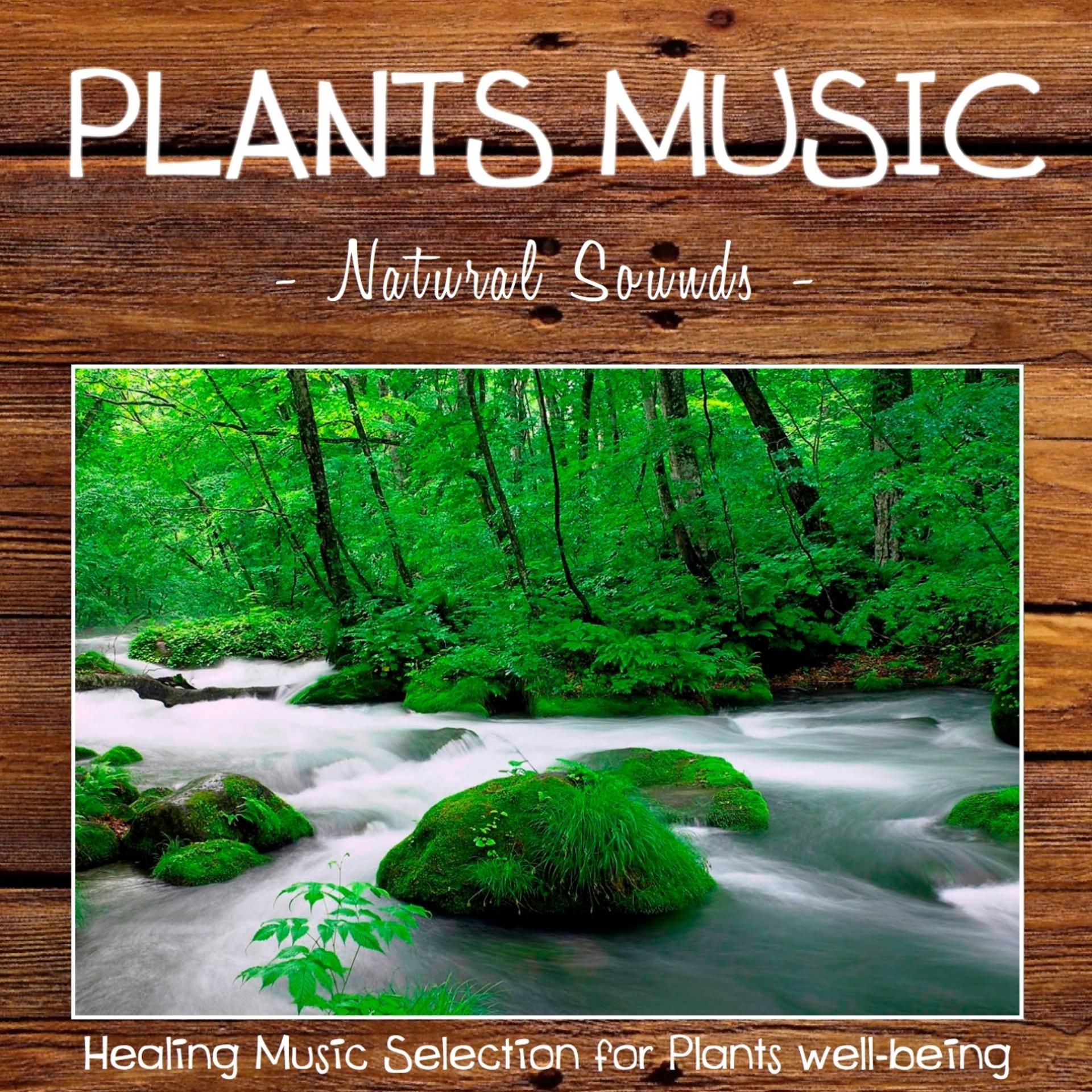 Постер альбома Plants Music: Nature Sounds