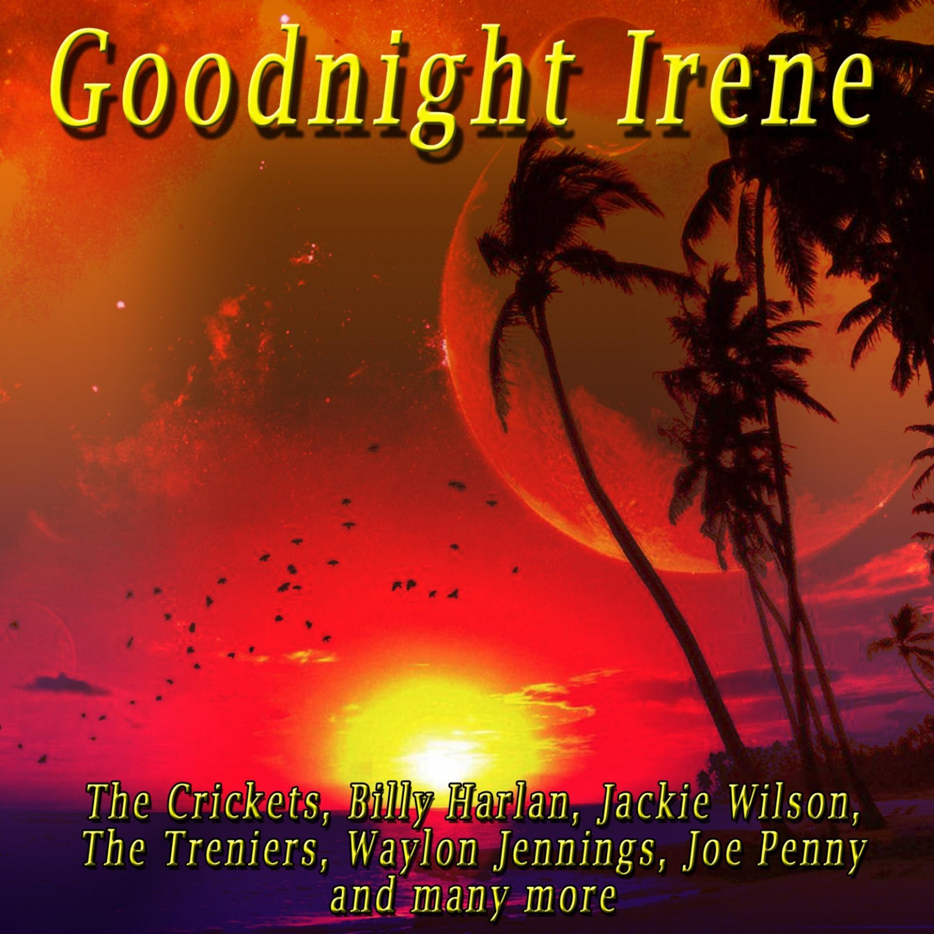 Постер альбома Goodnight Irene