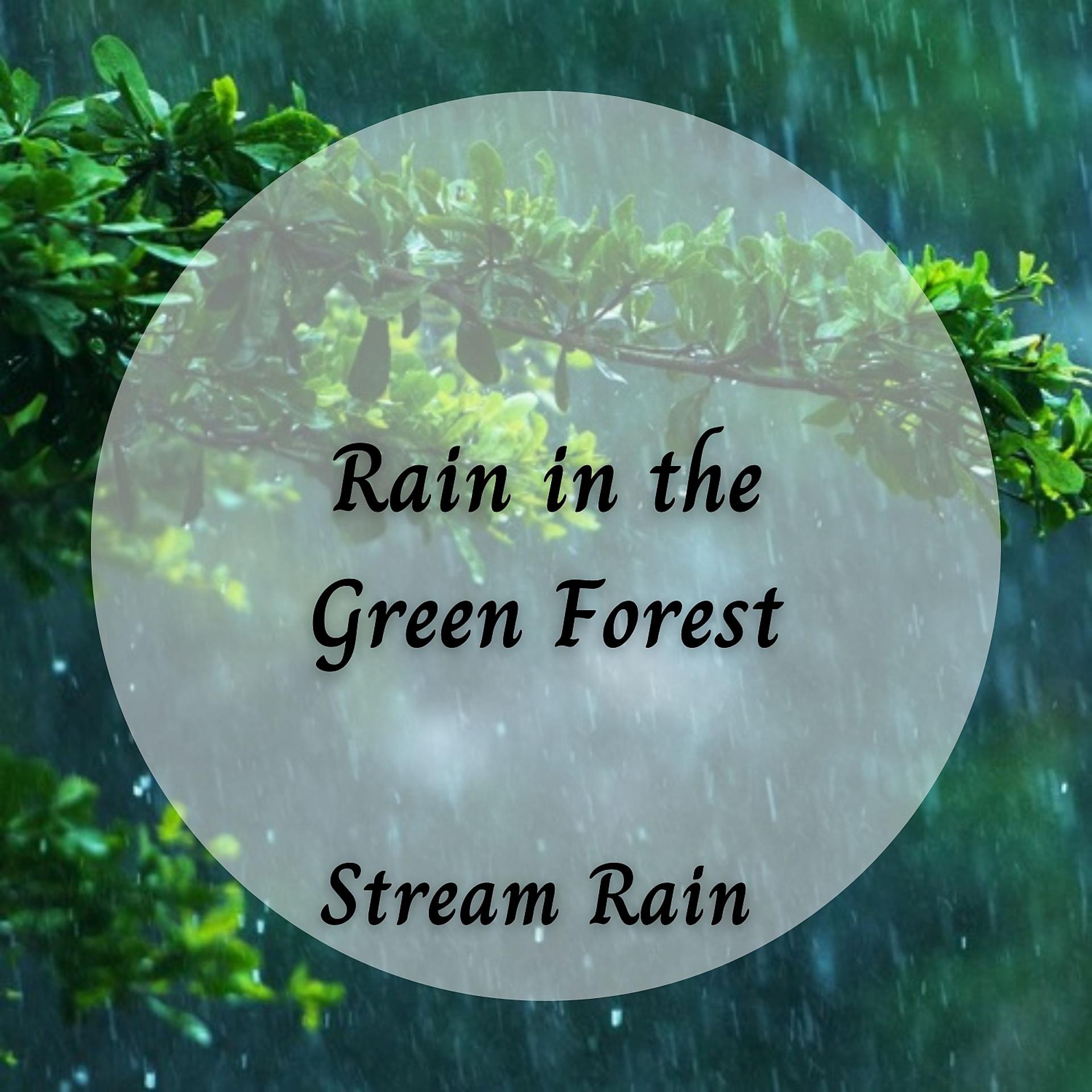 Постер альбома Stream Rain: Rain in the Green Forest
