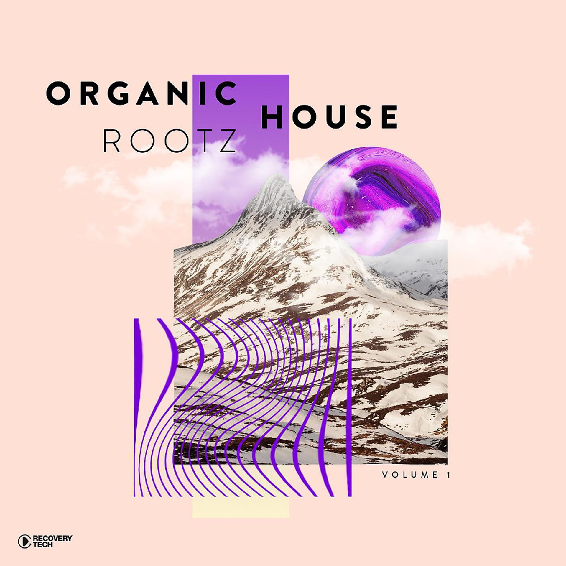 Постер альбома Organic House Rootz, Vol. 1