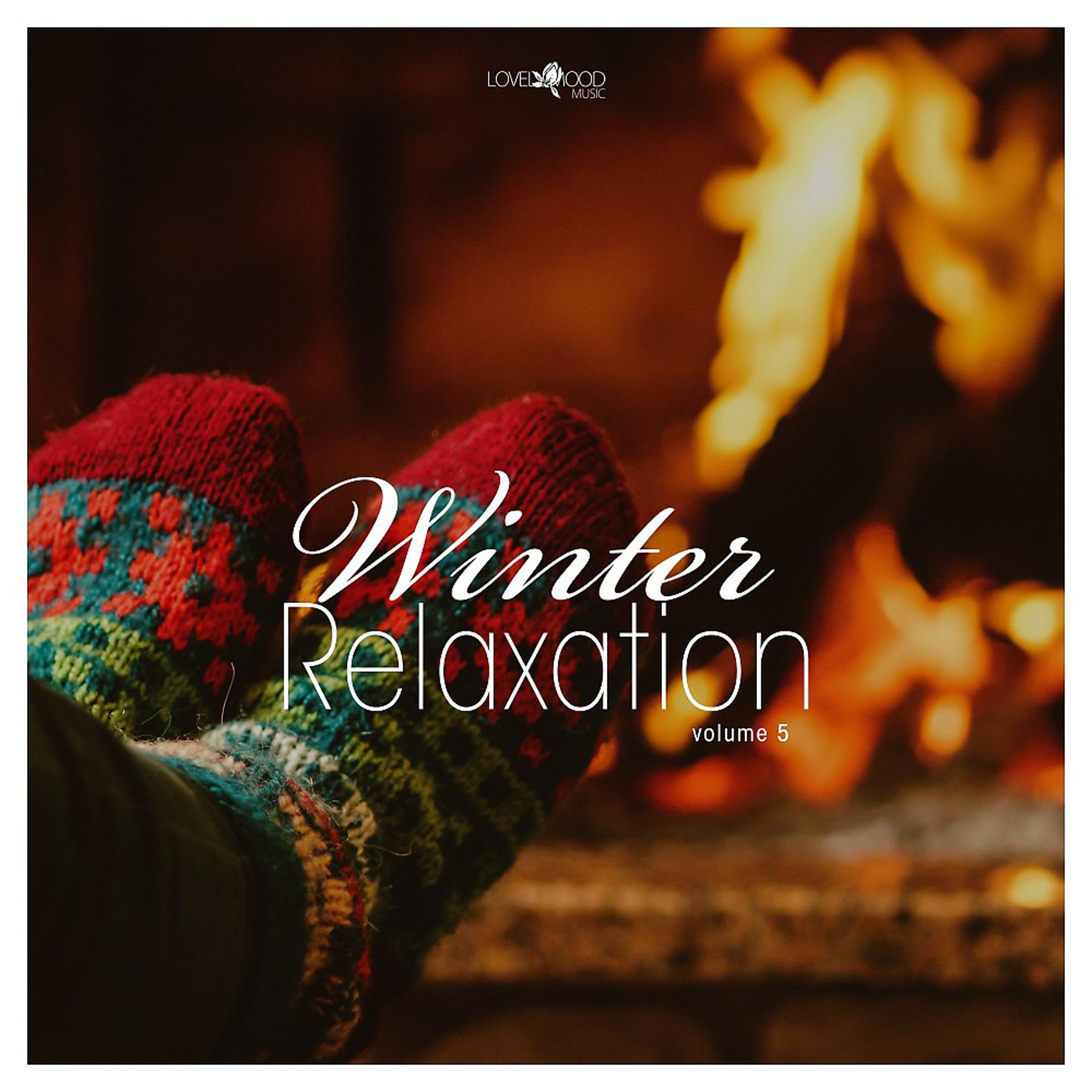 Постер альбома Winter Relaxation, Vol. 5