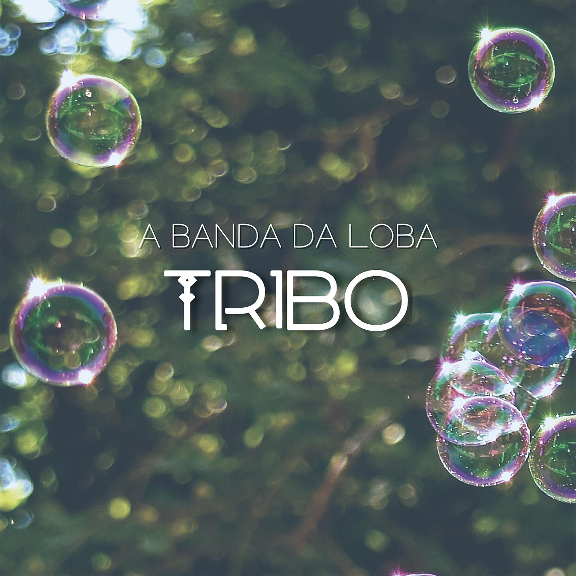 Постер альбома Tribo