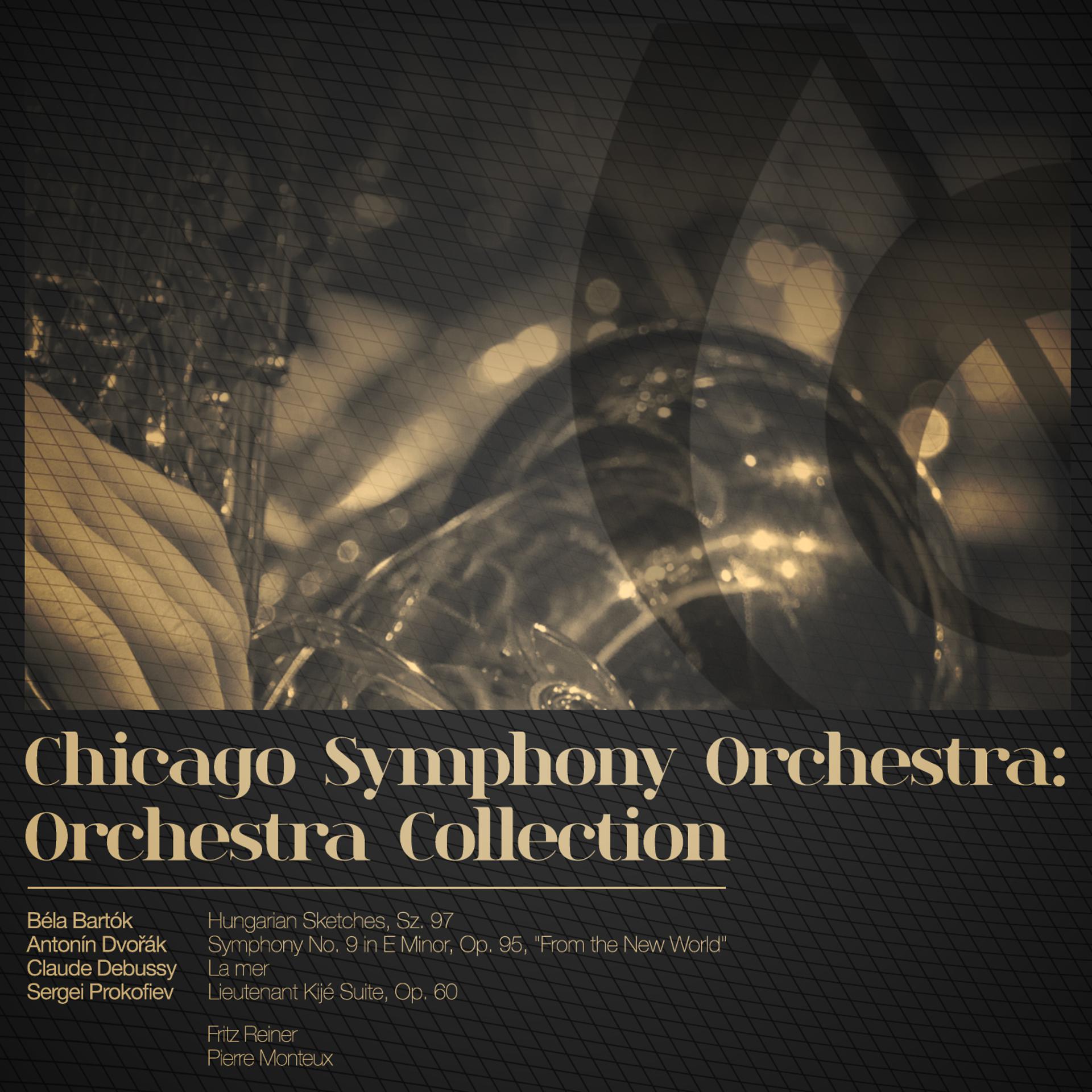 Постер альбома Chicago Symphony Orchestra: Orchestra Collection (Digitally Remastered)