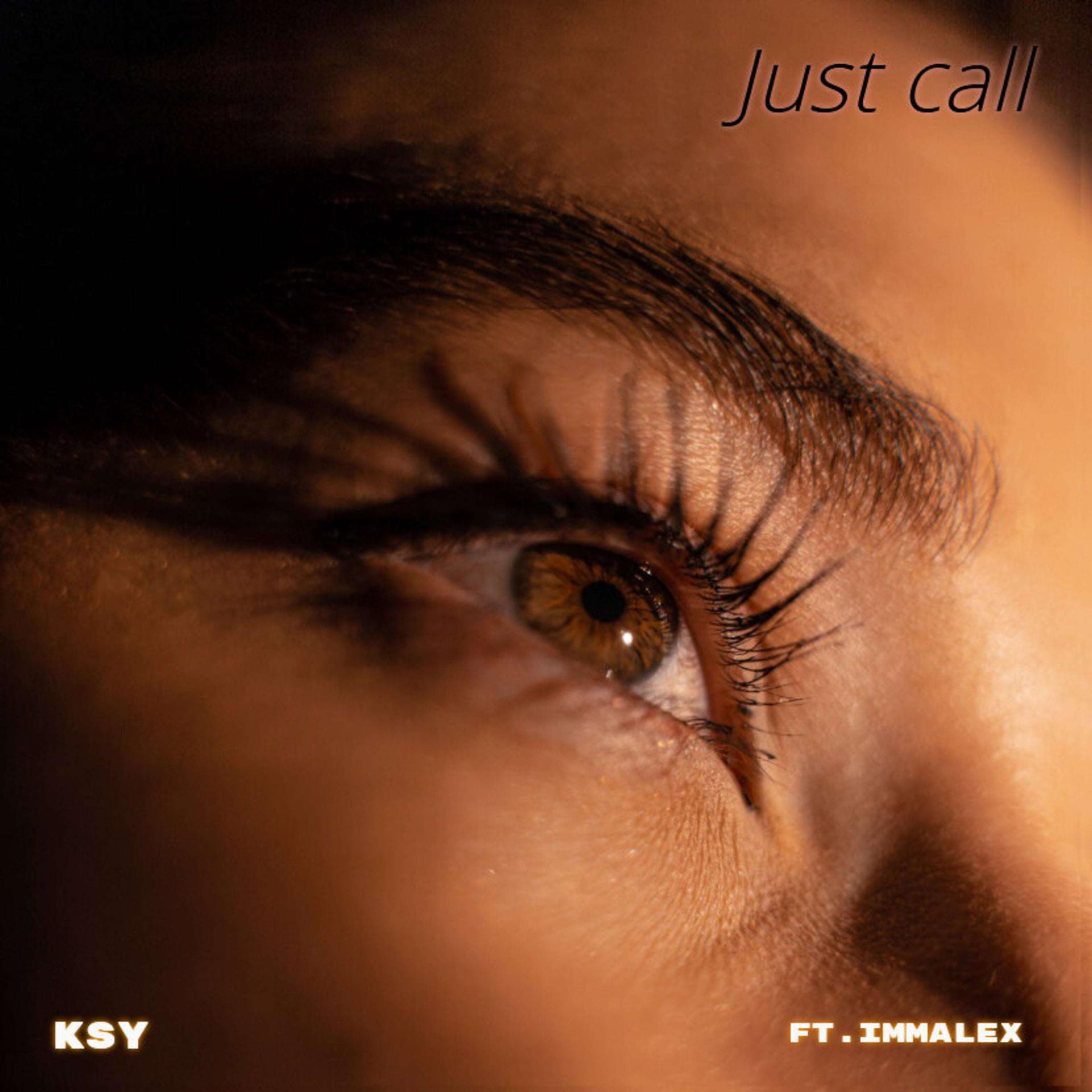 Постер альбома Just Call Ksy (feat. Immalex)