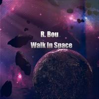 Постер альбома Walk in Space