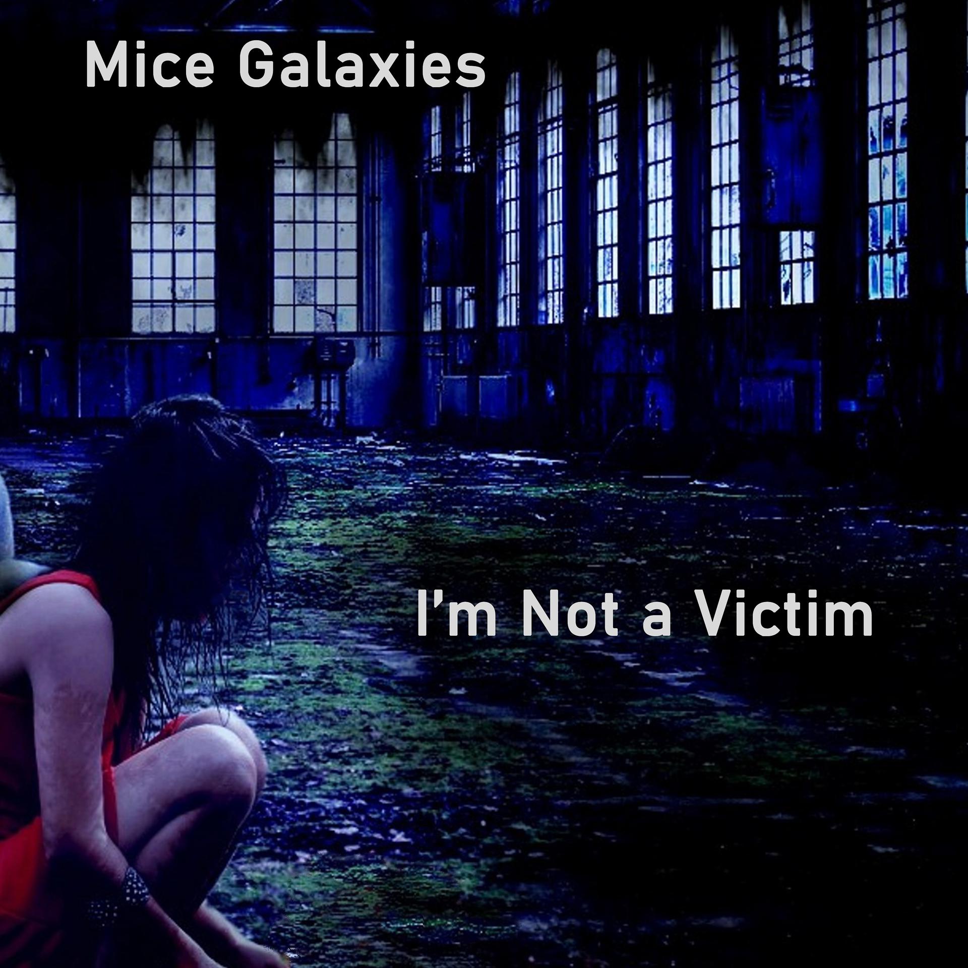 Постер альбома I'm Not a Victim