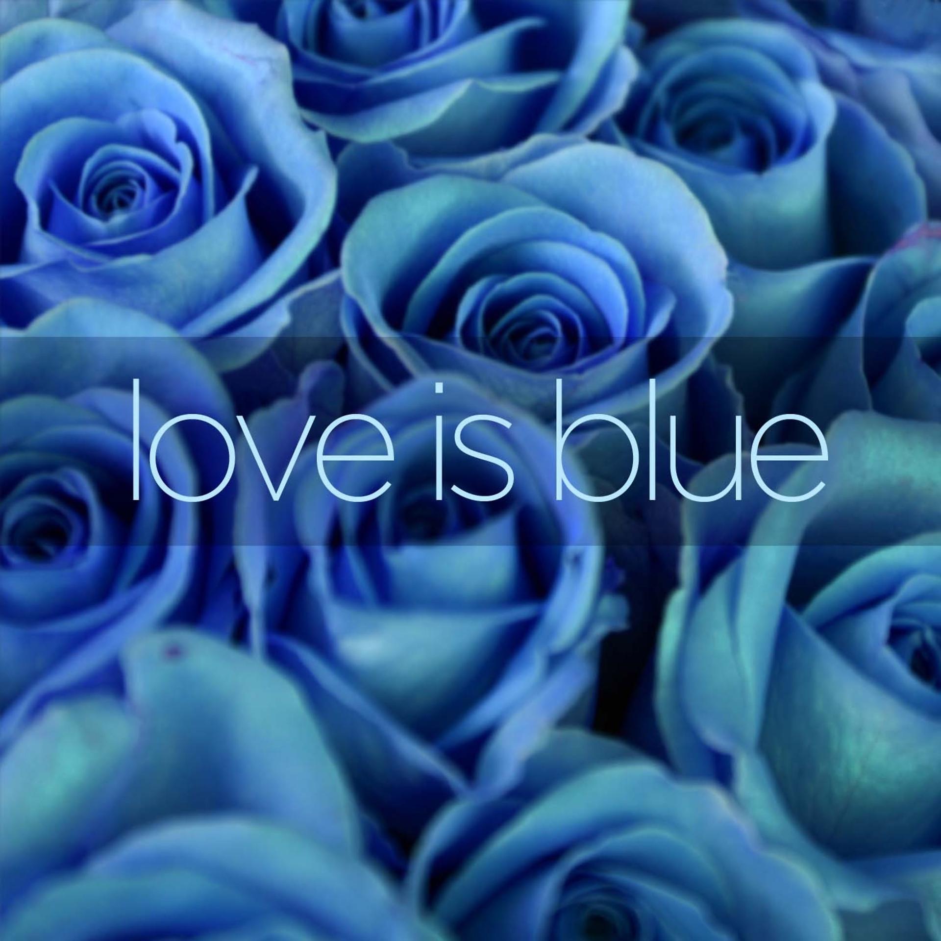Постер альбома Love Is Blue - A Collection of Easy Listening World and Latin Music with Luis Salinas and Paul Mauriat