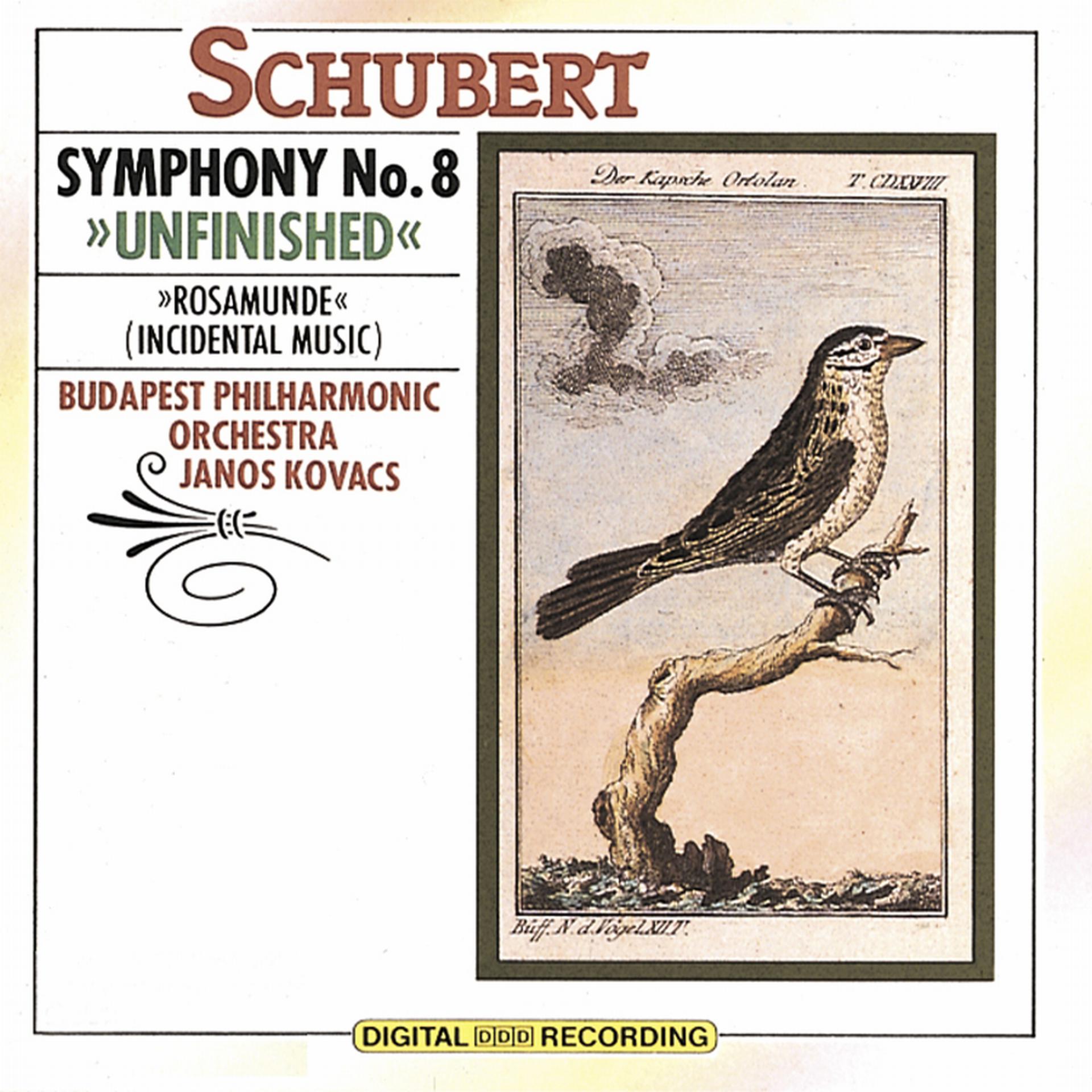 Постер альбома Schubert - Symphony No. 8: "Unfinished"