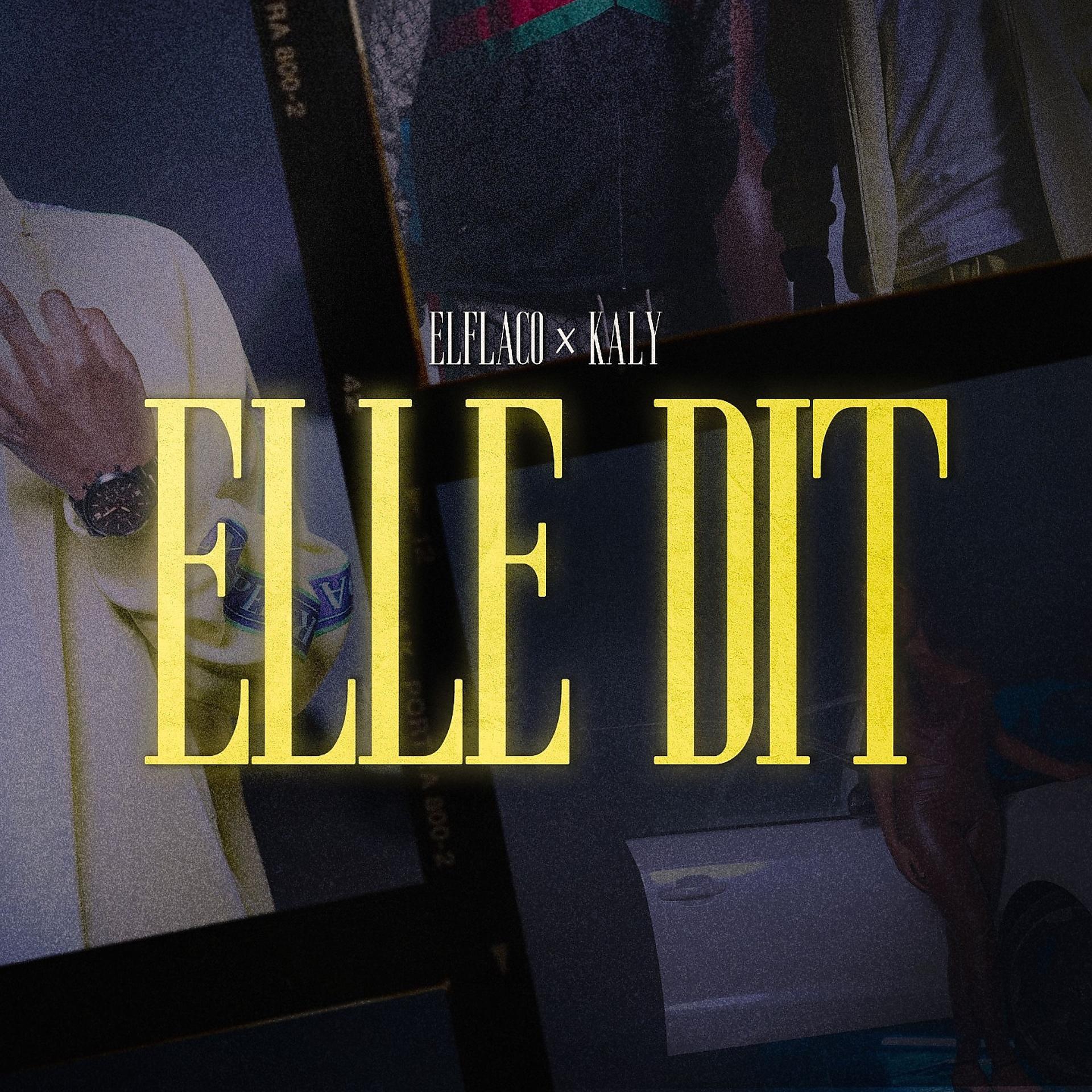 Постер альбома Elle dit