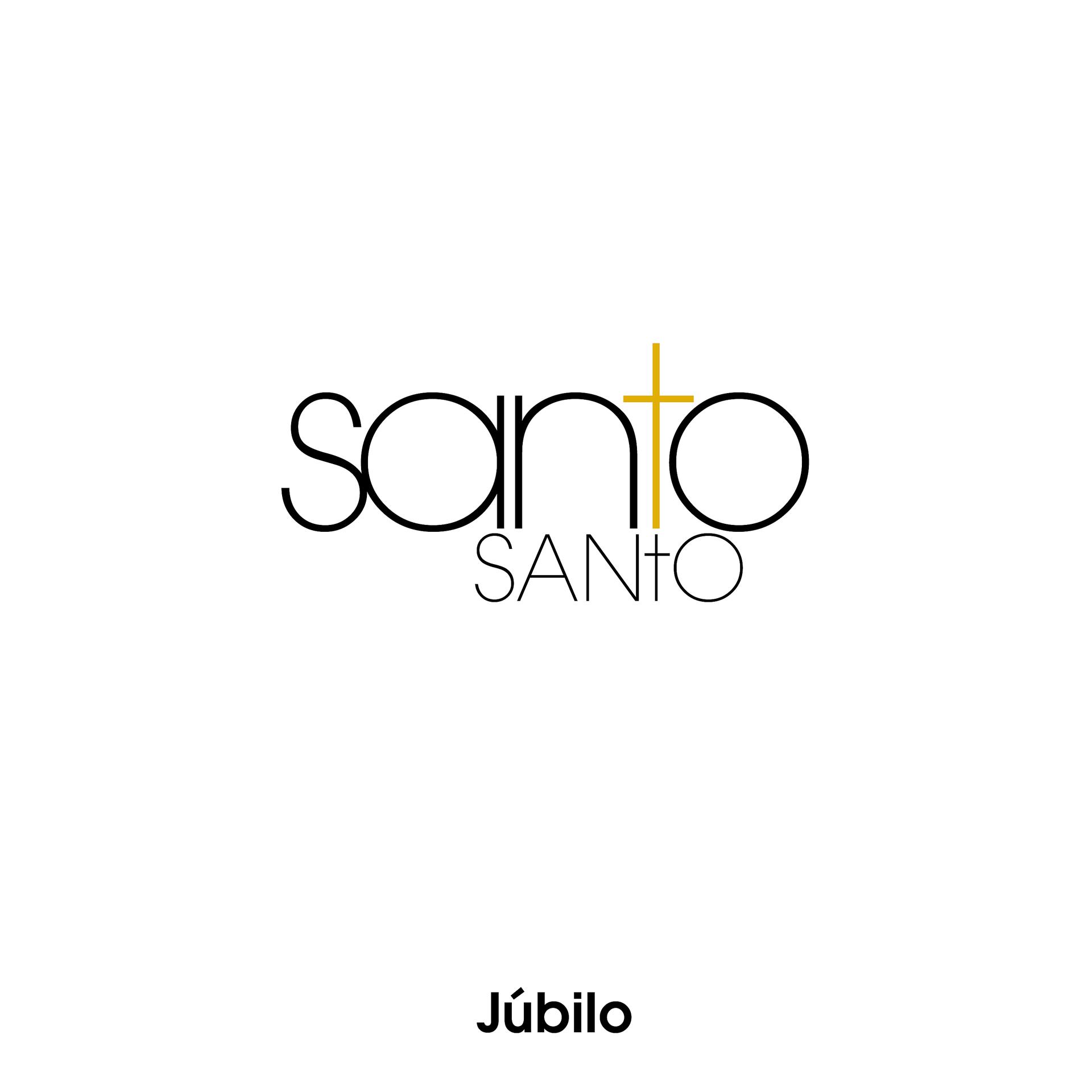 Постер альбома Santo Santo