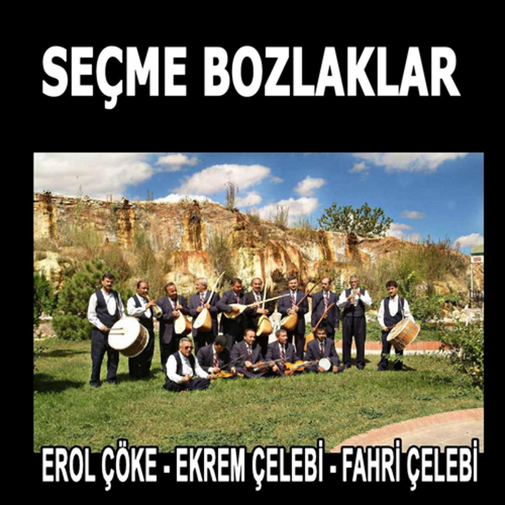 Постер альбома Seçme Bozlaklar