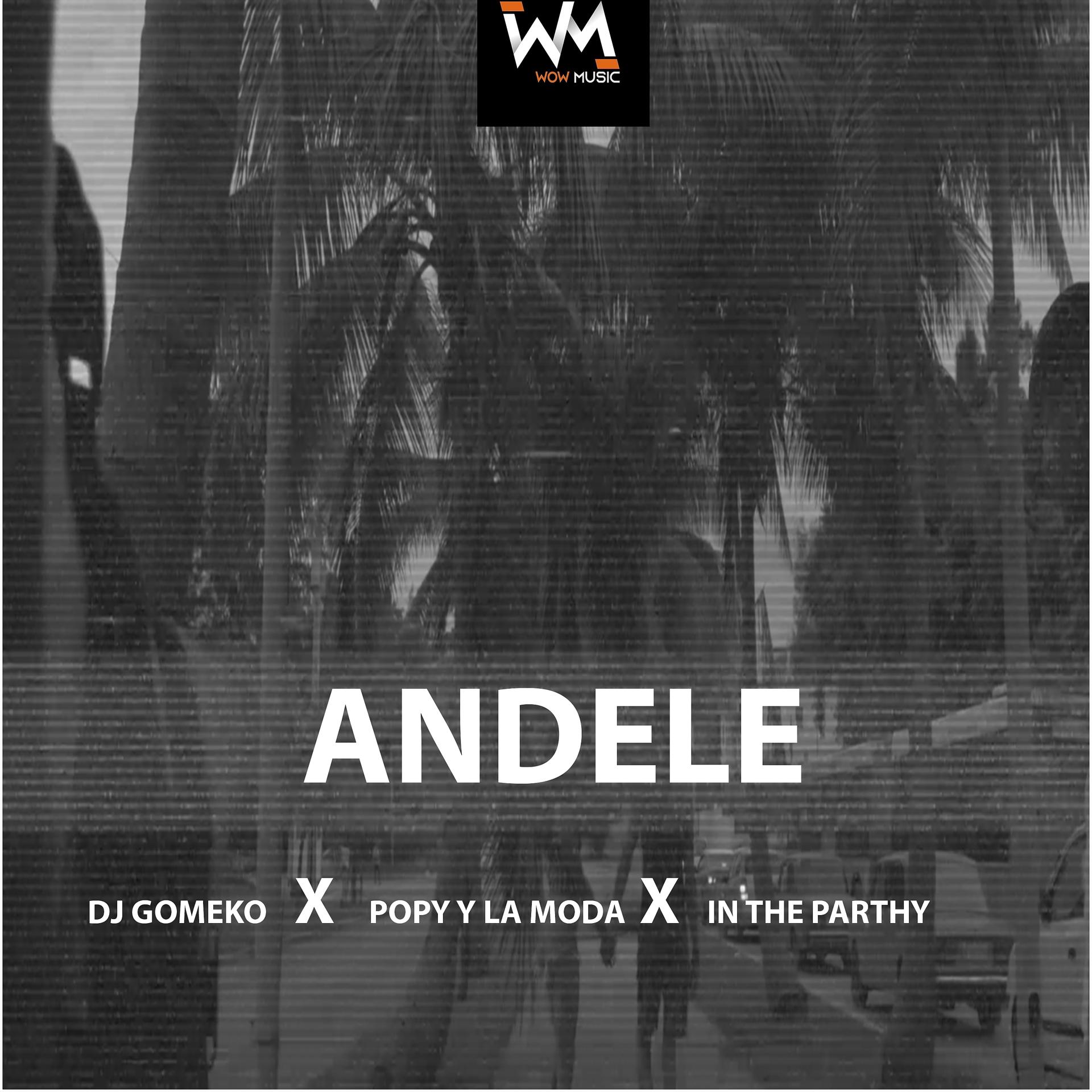 Постер альбома Andele