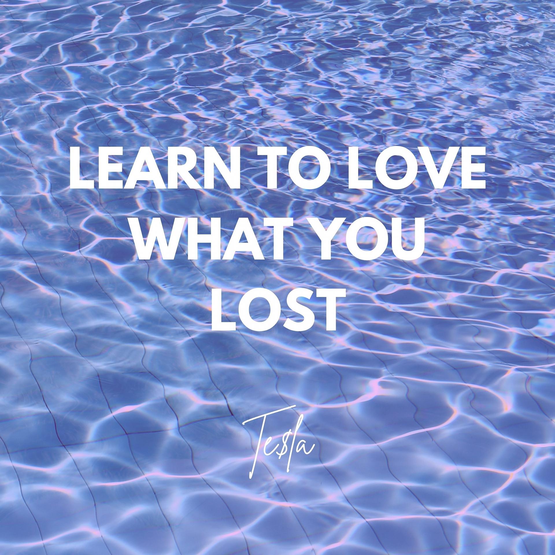 Постер альбома Learn to Love What You Lost